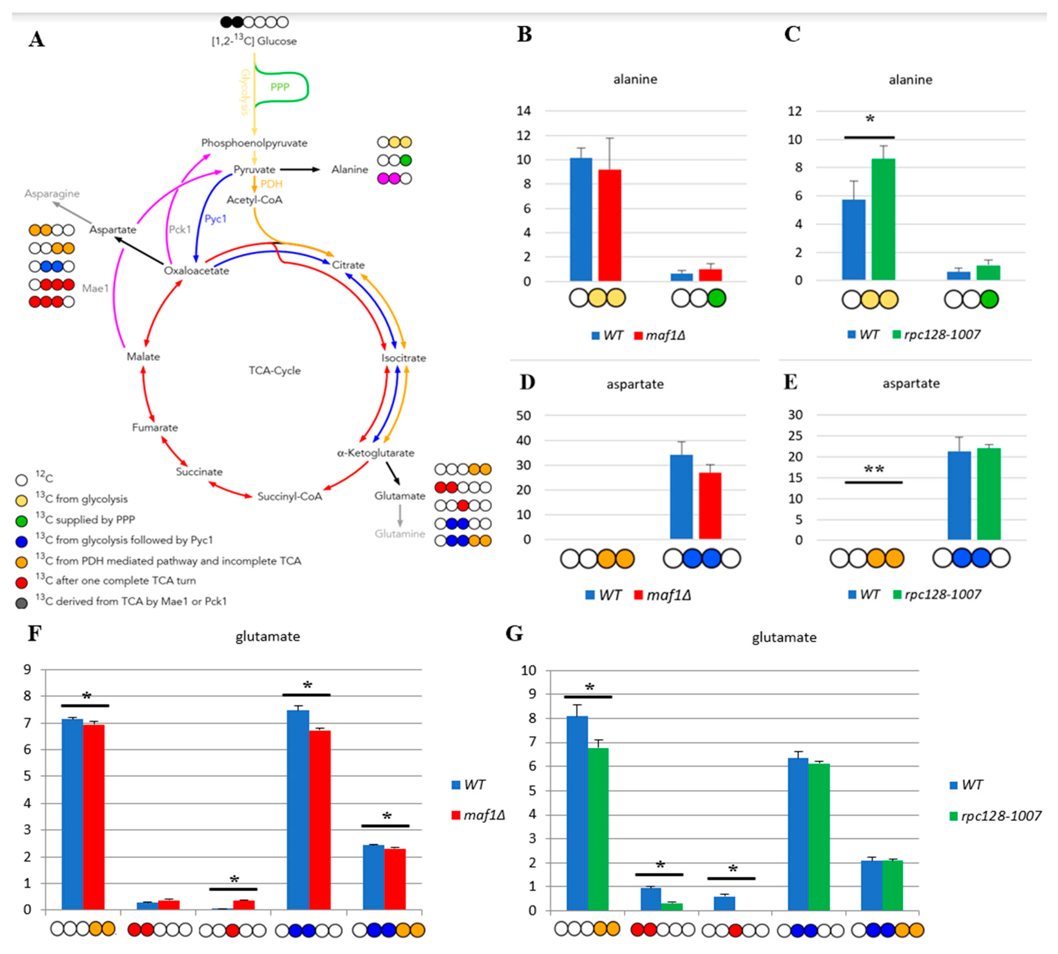 Preprints 80542 g001