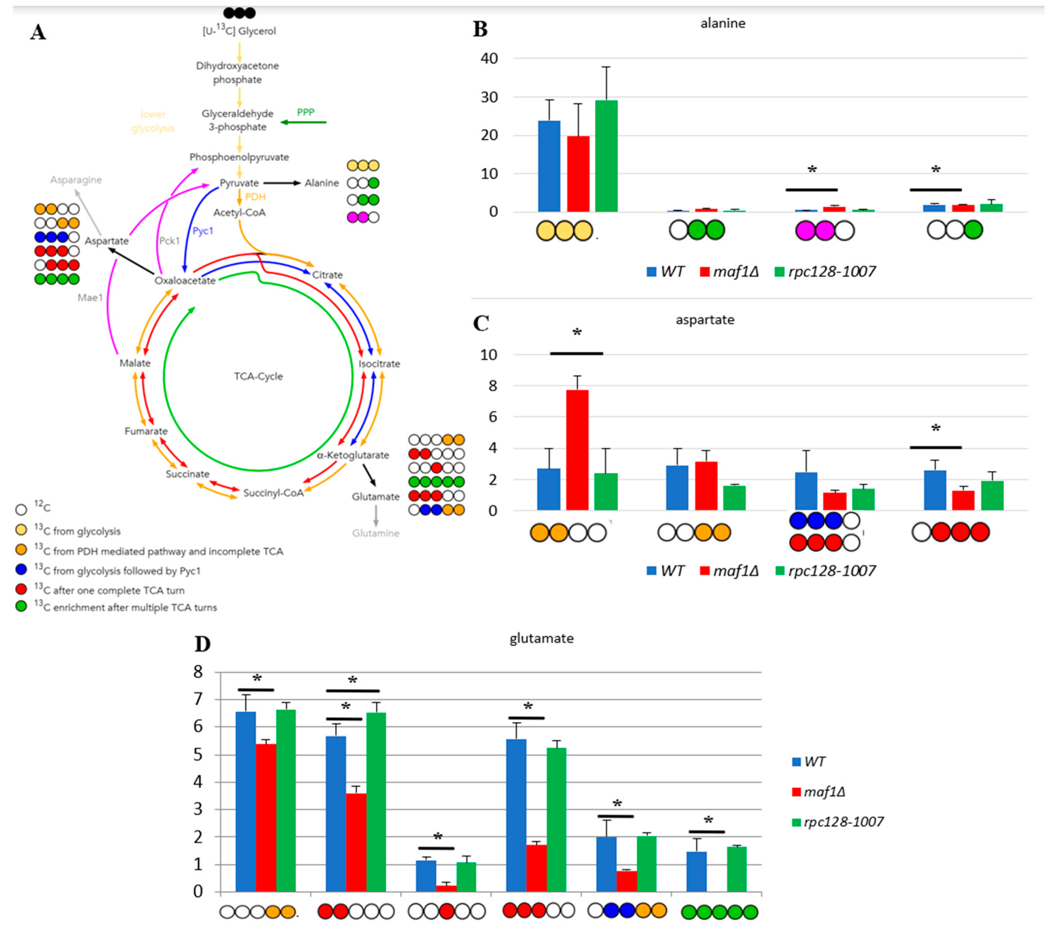 Preprints 80542 g002