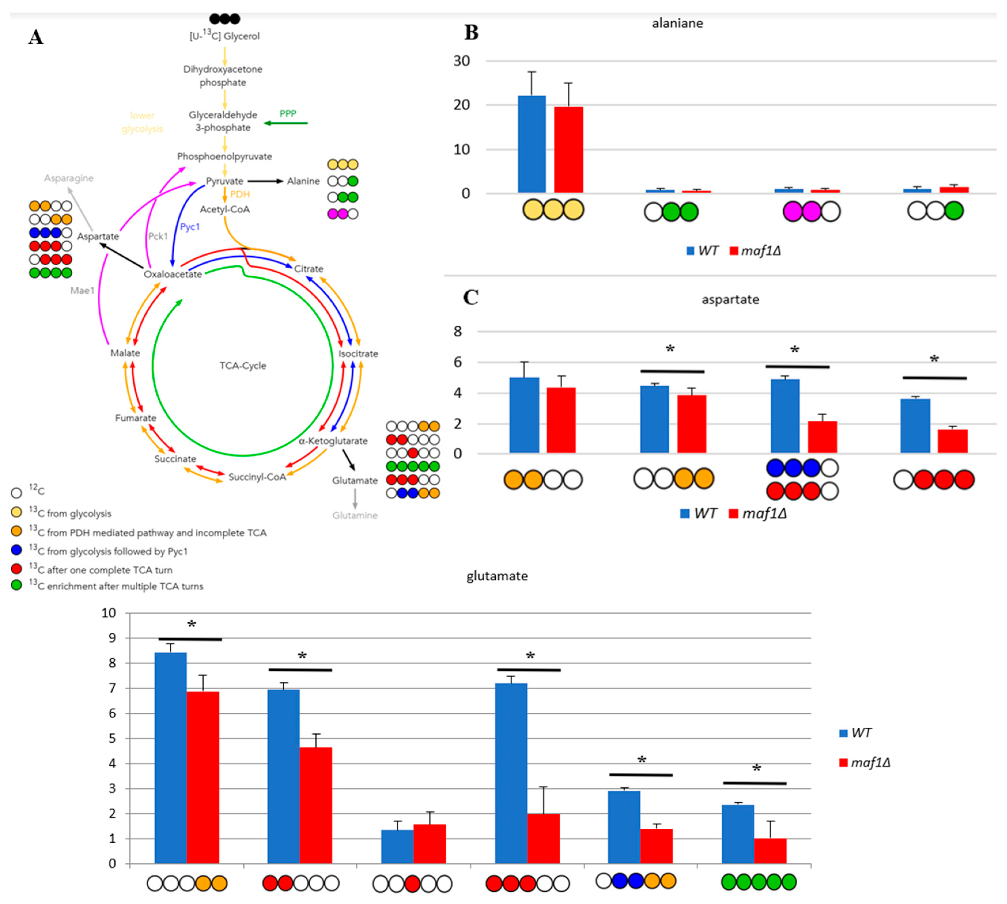 Preprints 80542 g003