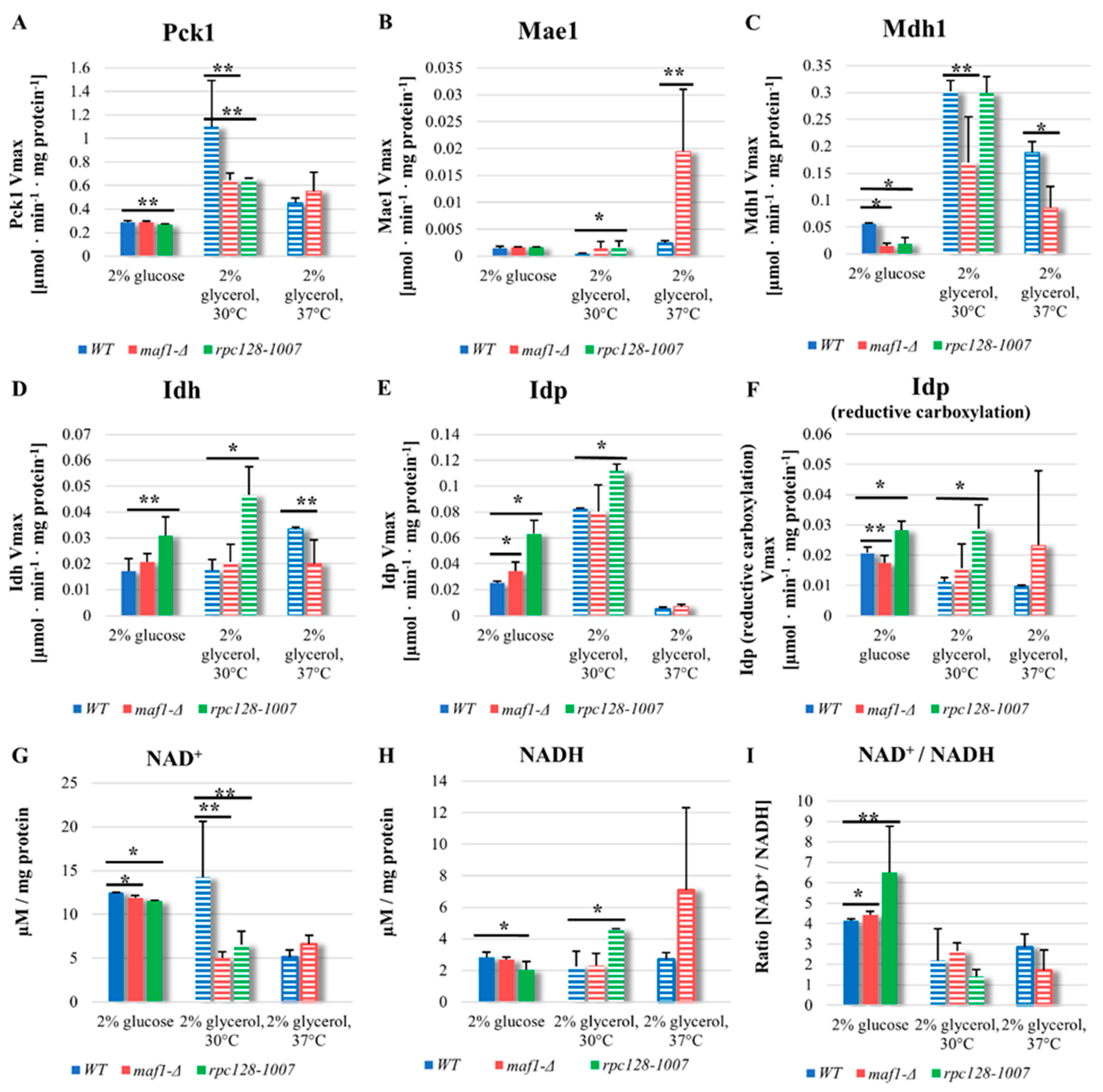 Preprints 80542 g004