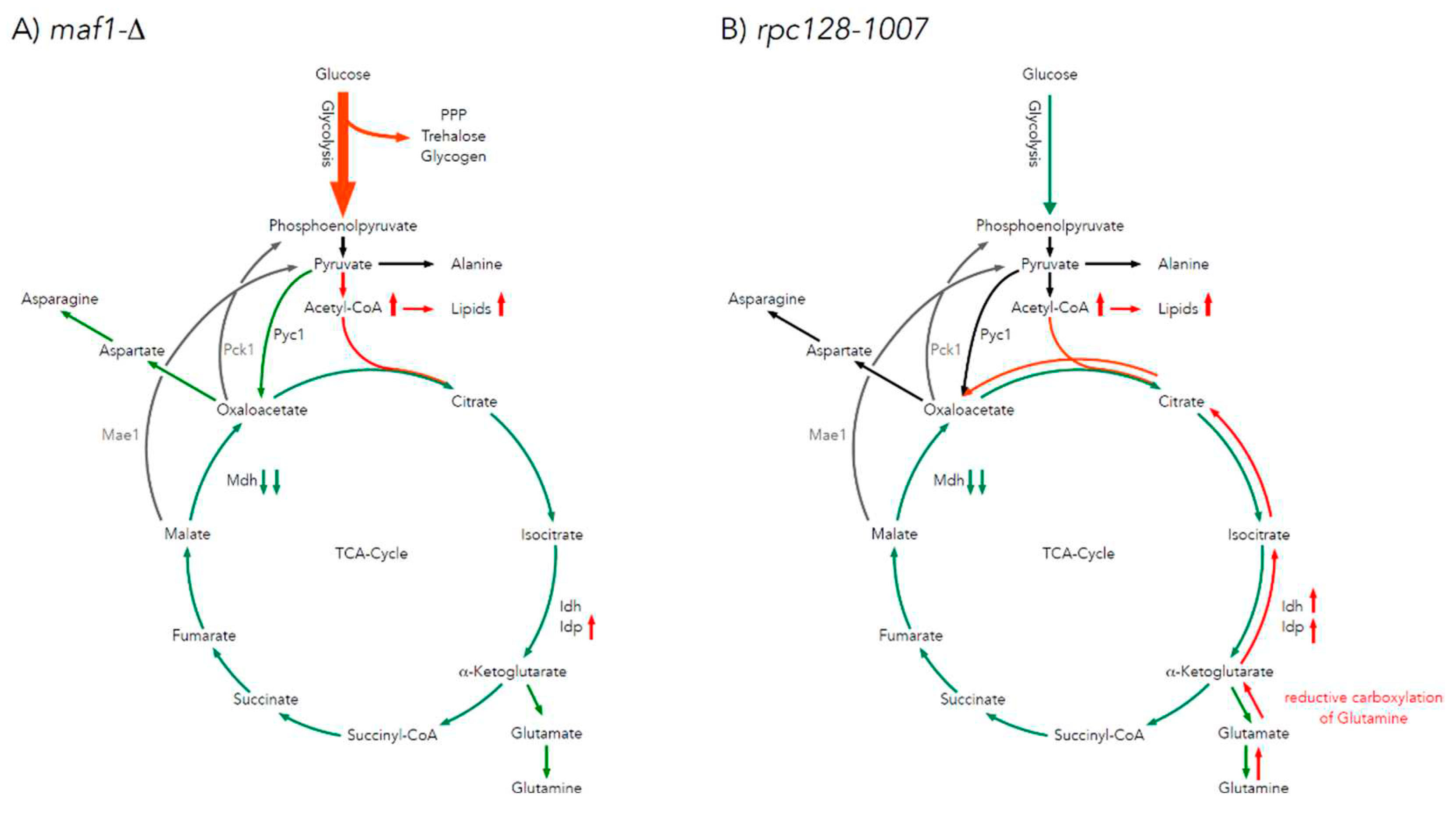 Preprints 80542 g006