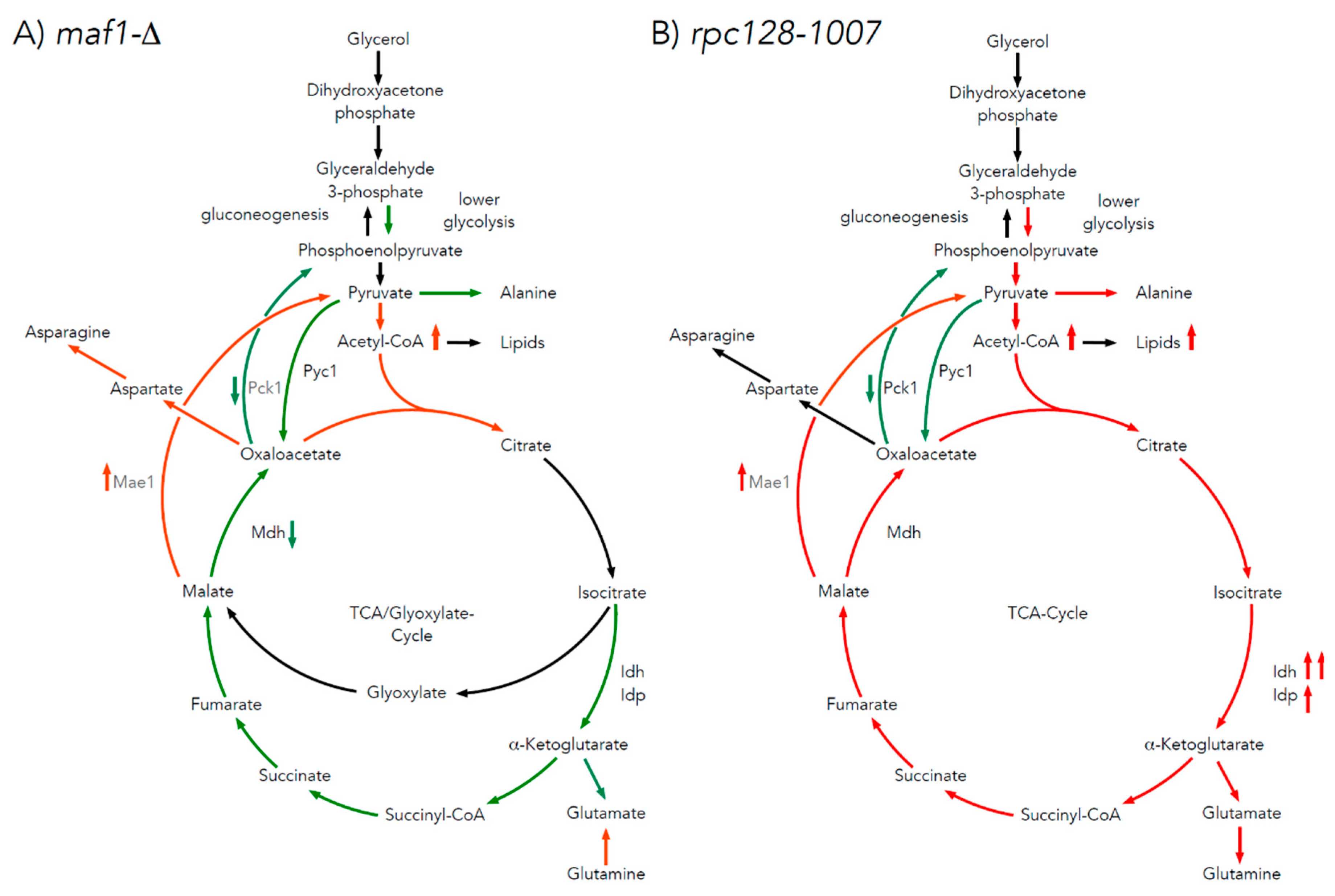 Preprints 80542 g007