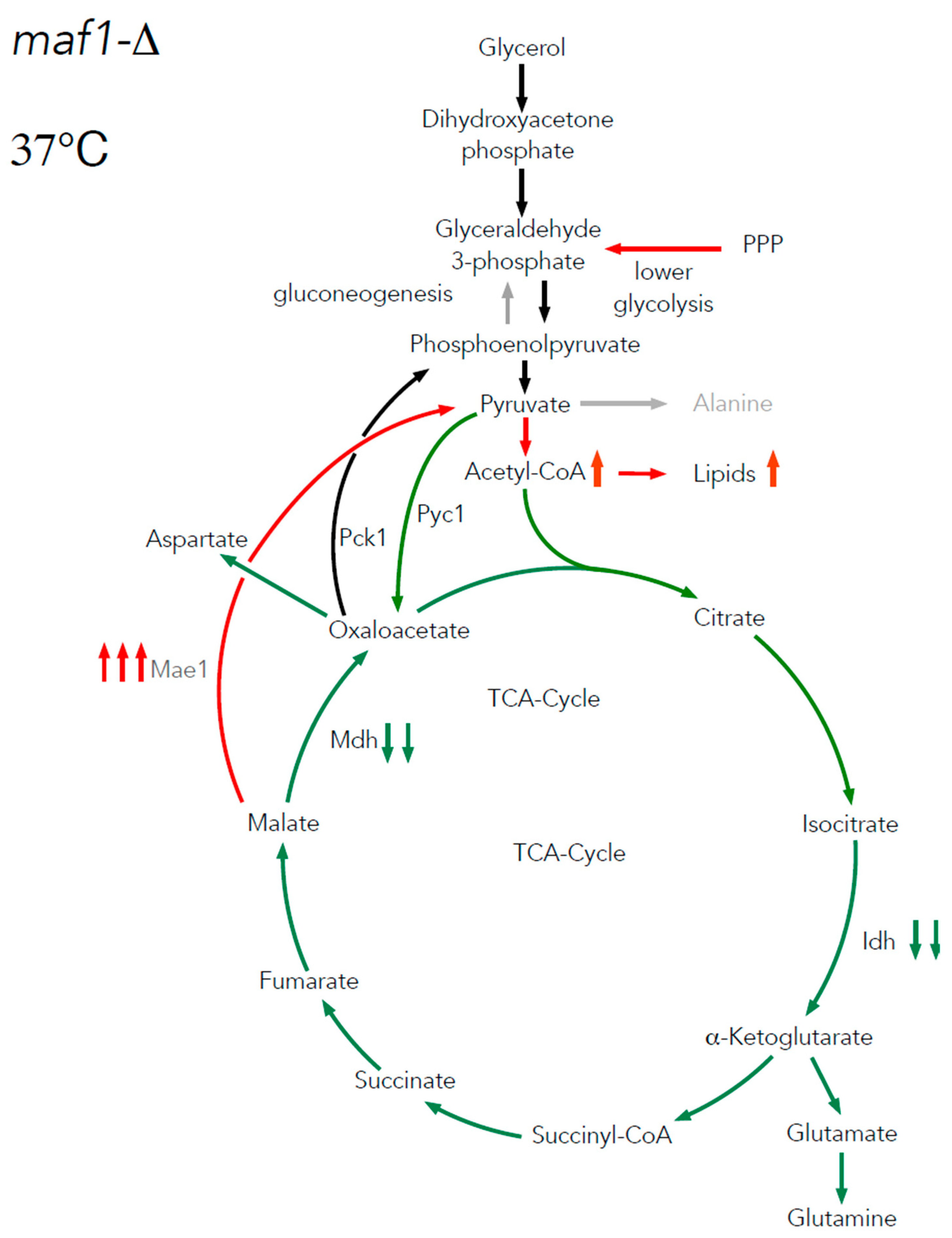 Preprints 80542 g008