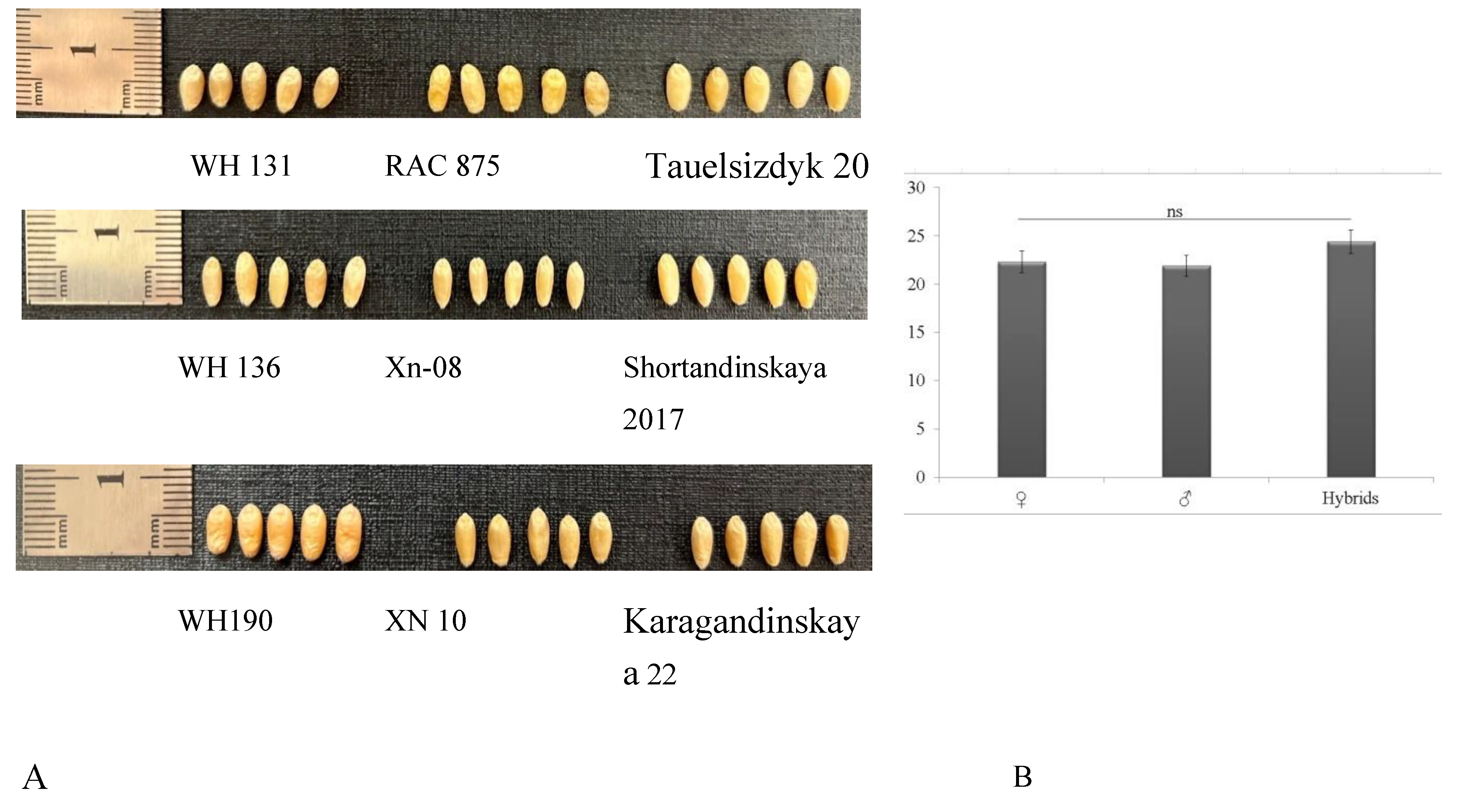 Preprints 86855 g004