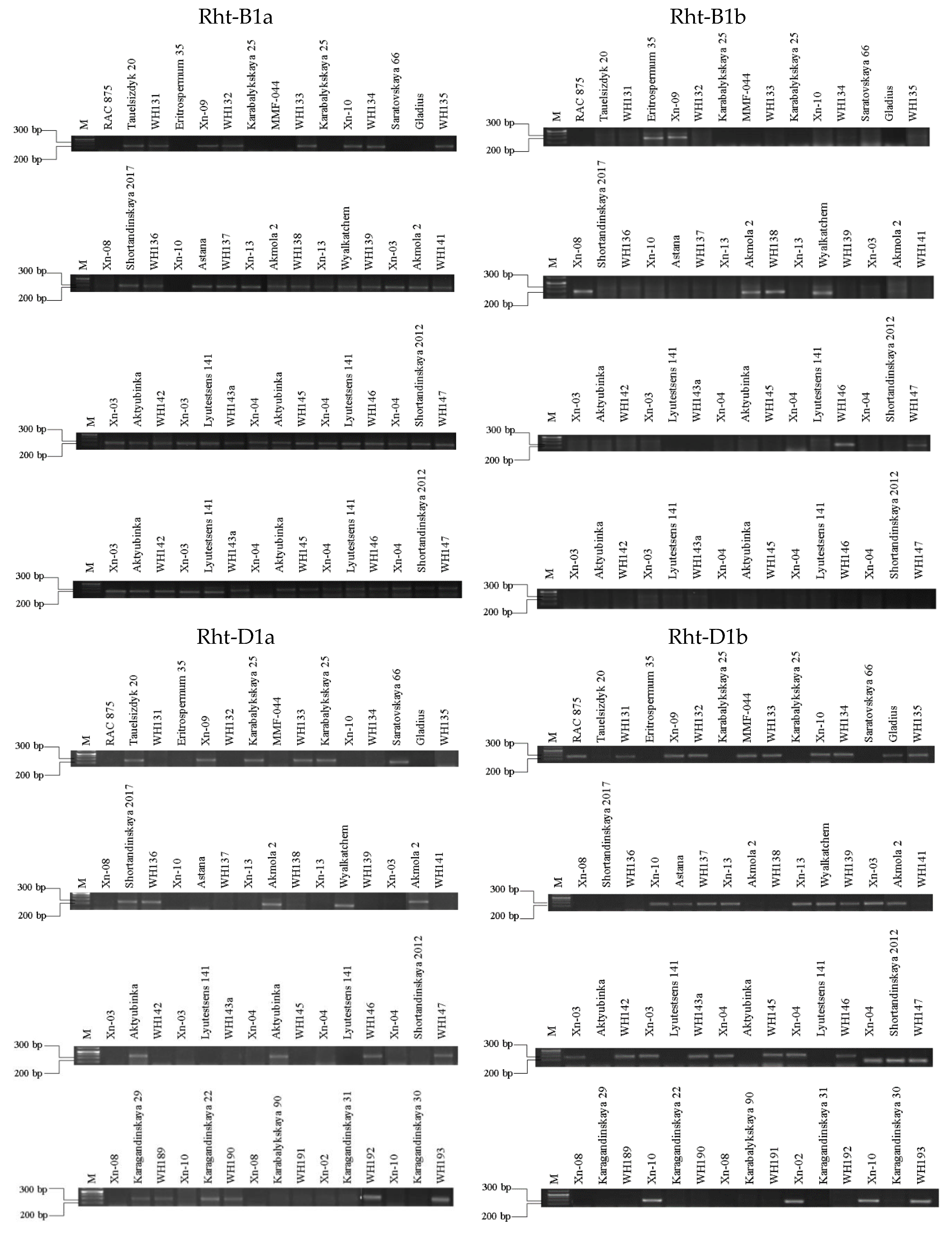 Preprints 86855 g006