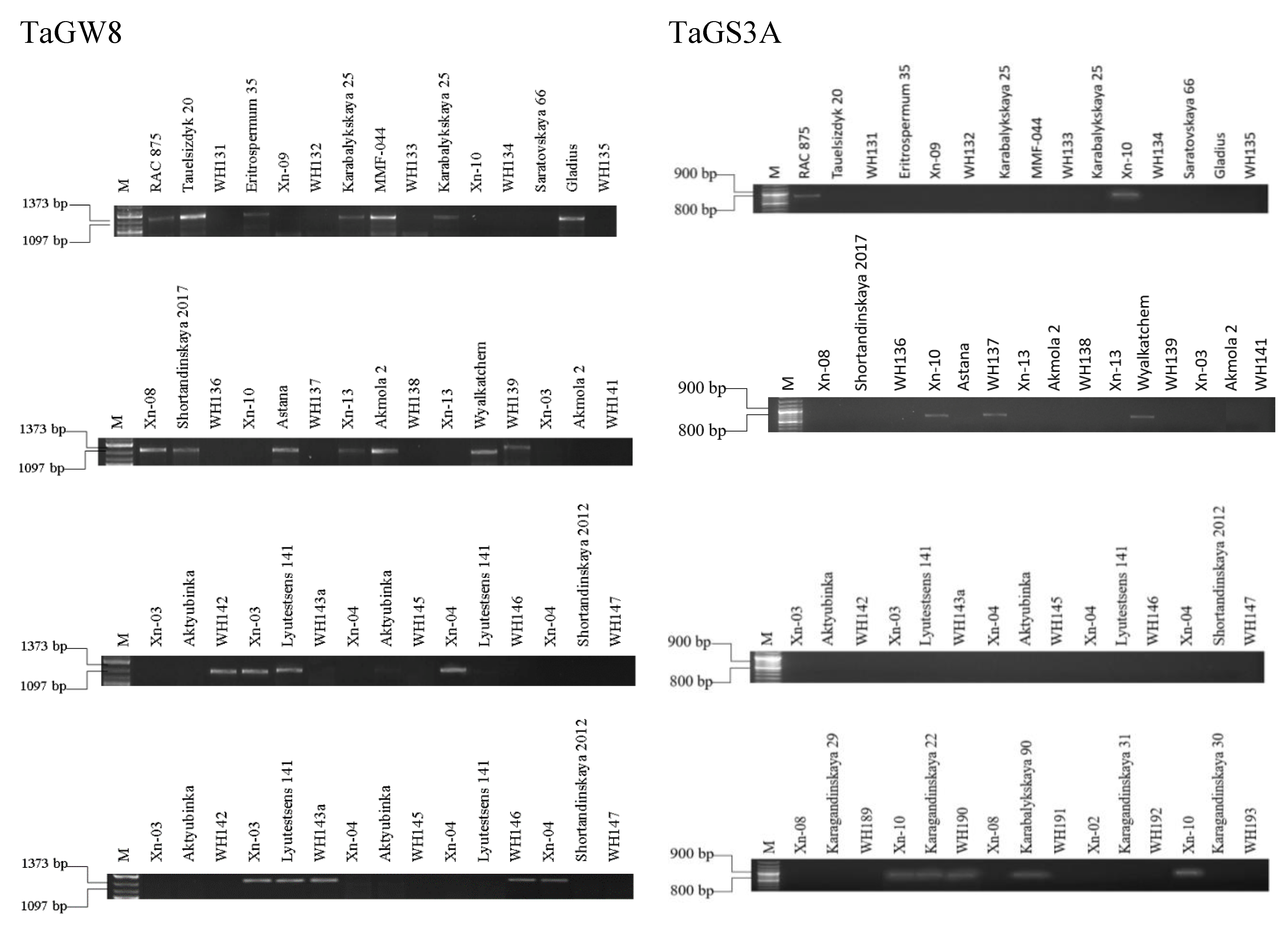 Preprints 86855 g007