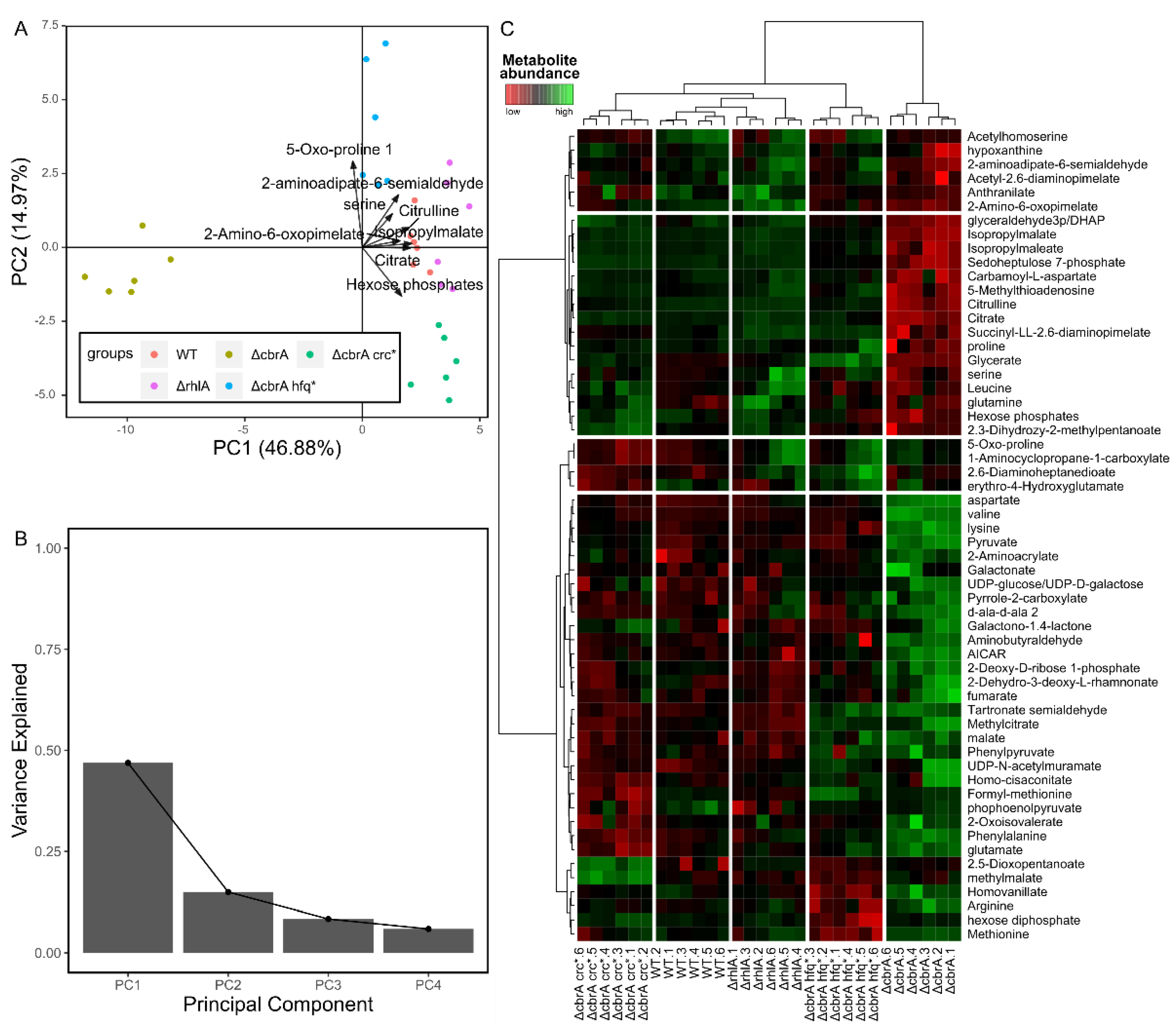 Preprints 98449 g001