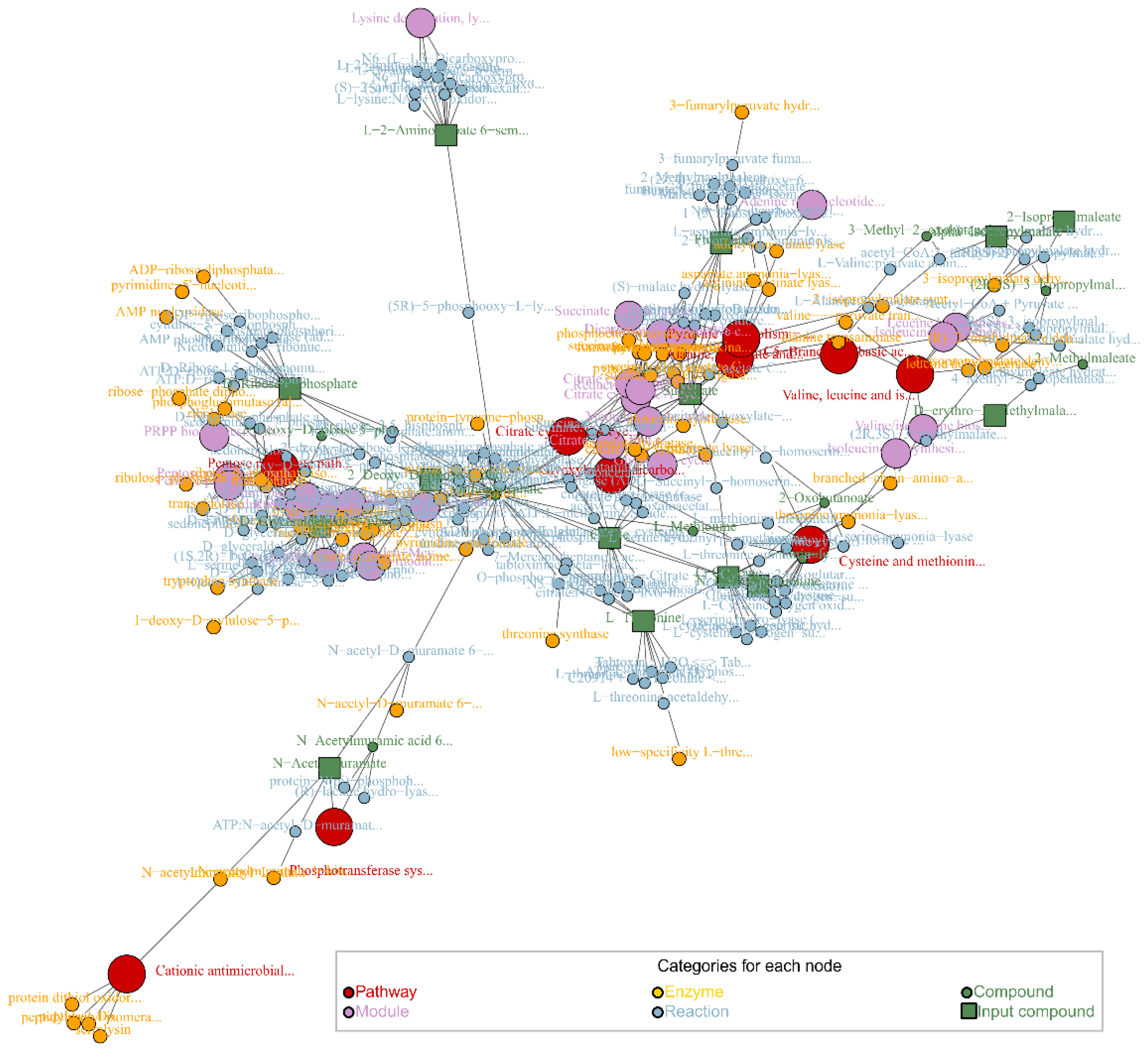 Preprints 98449 g003