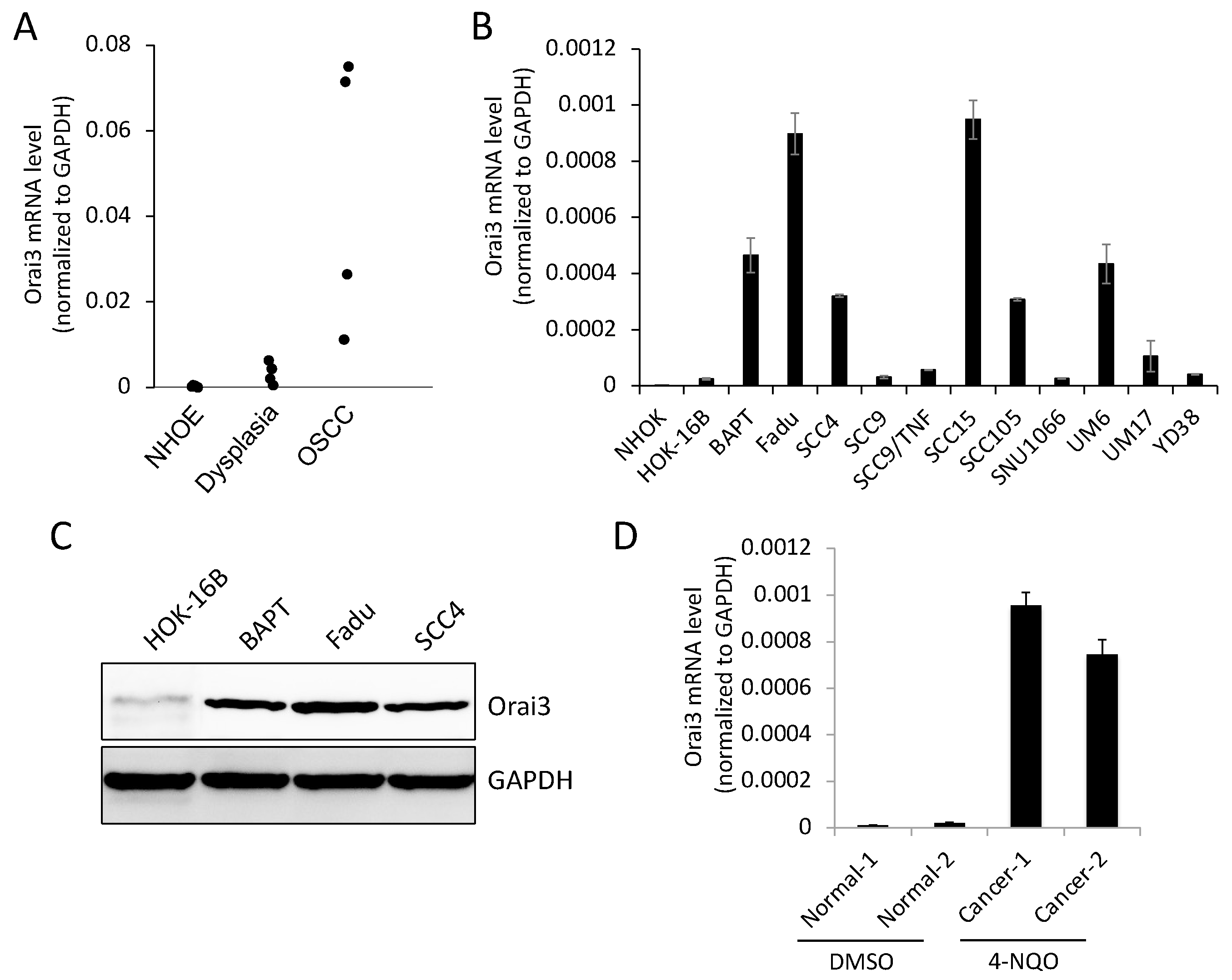 Preprints 80910 g001