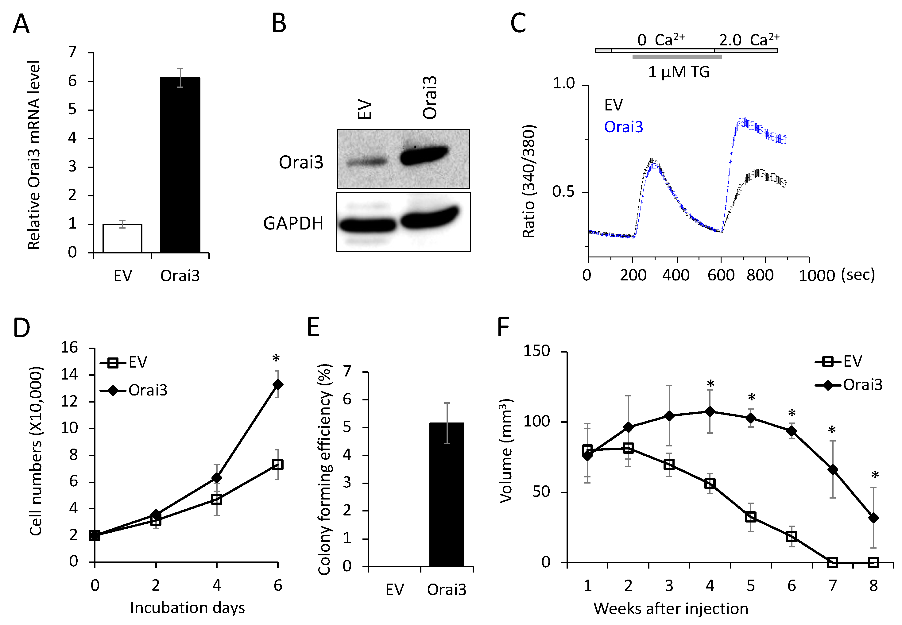 Preprints 80910 g003