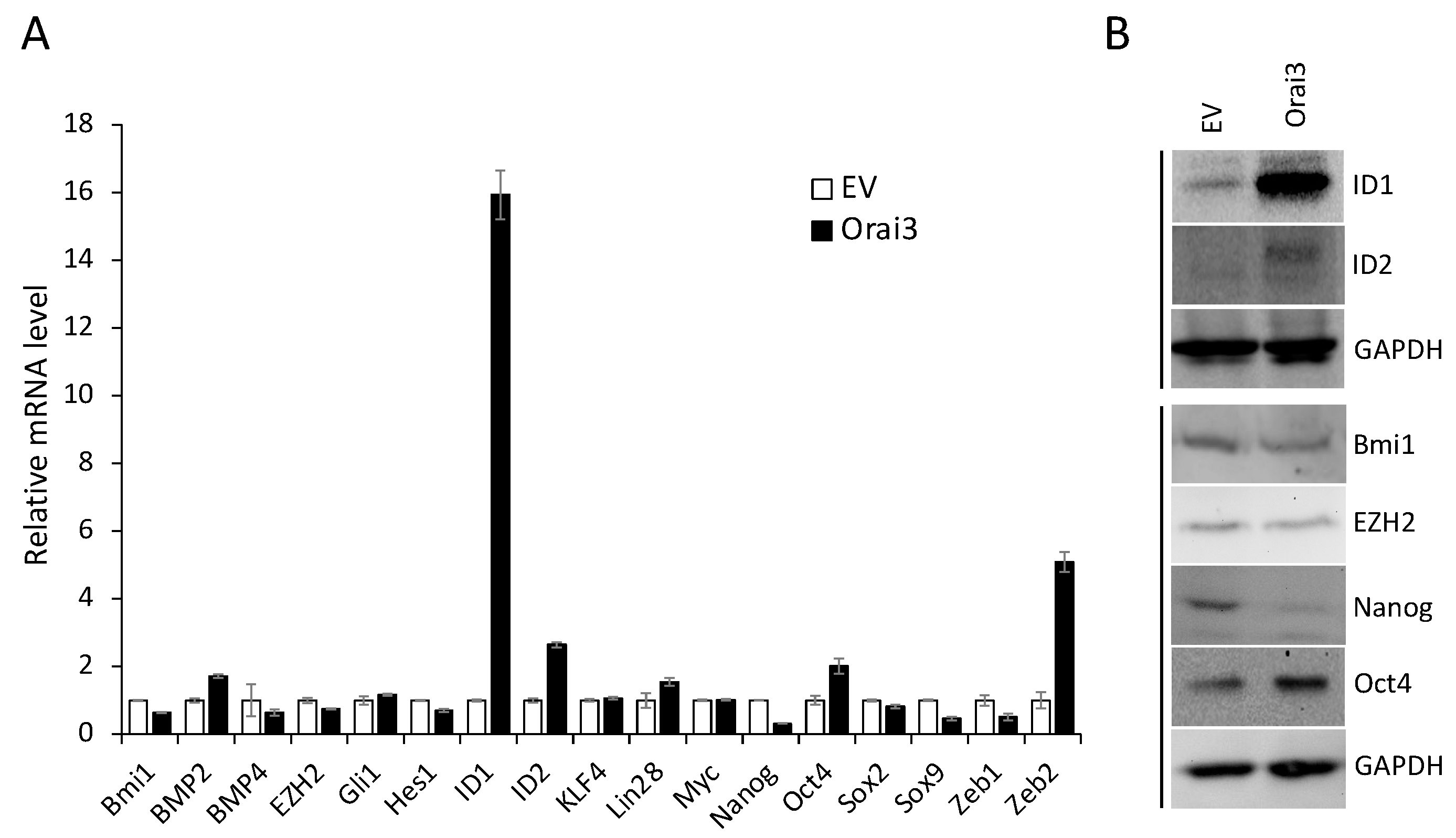 Preprints 80910 g006