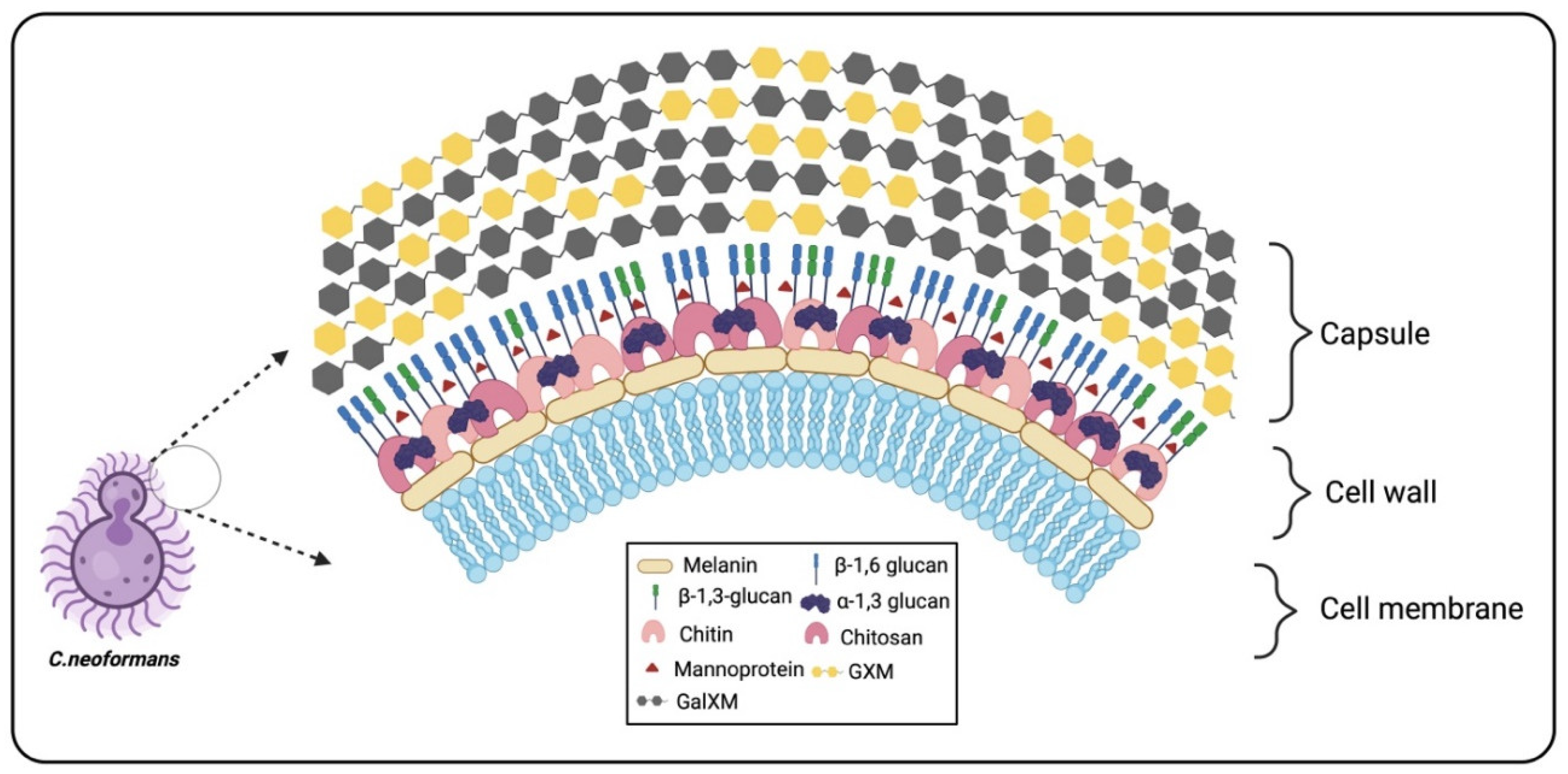 Preprints 137526 g001