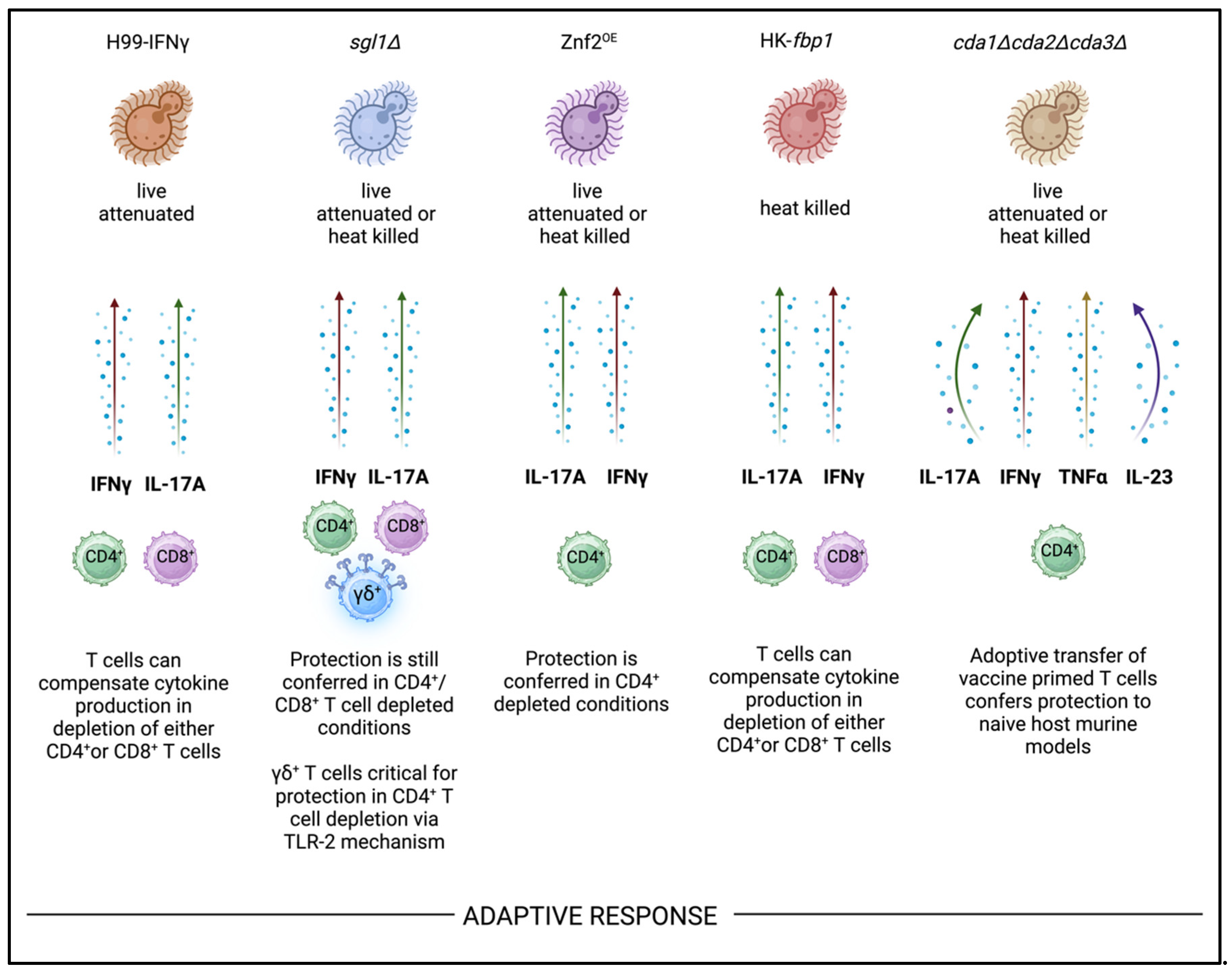 Preprints 137526 g002