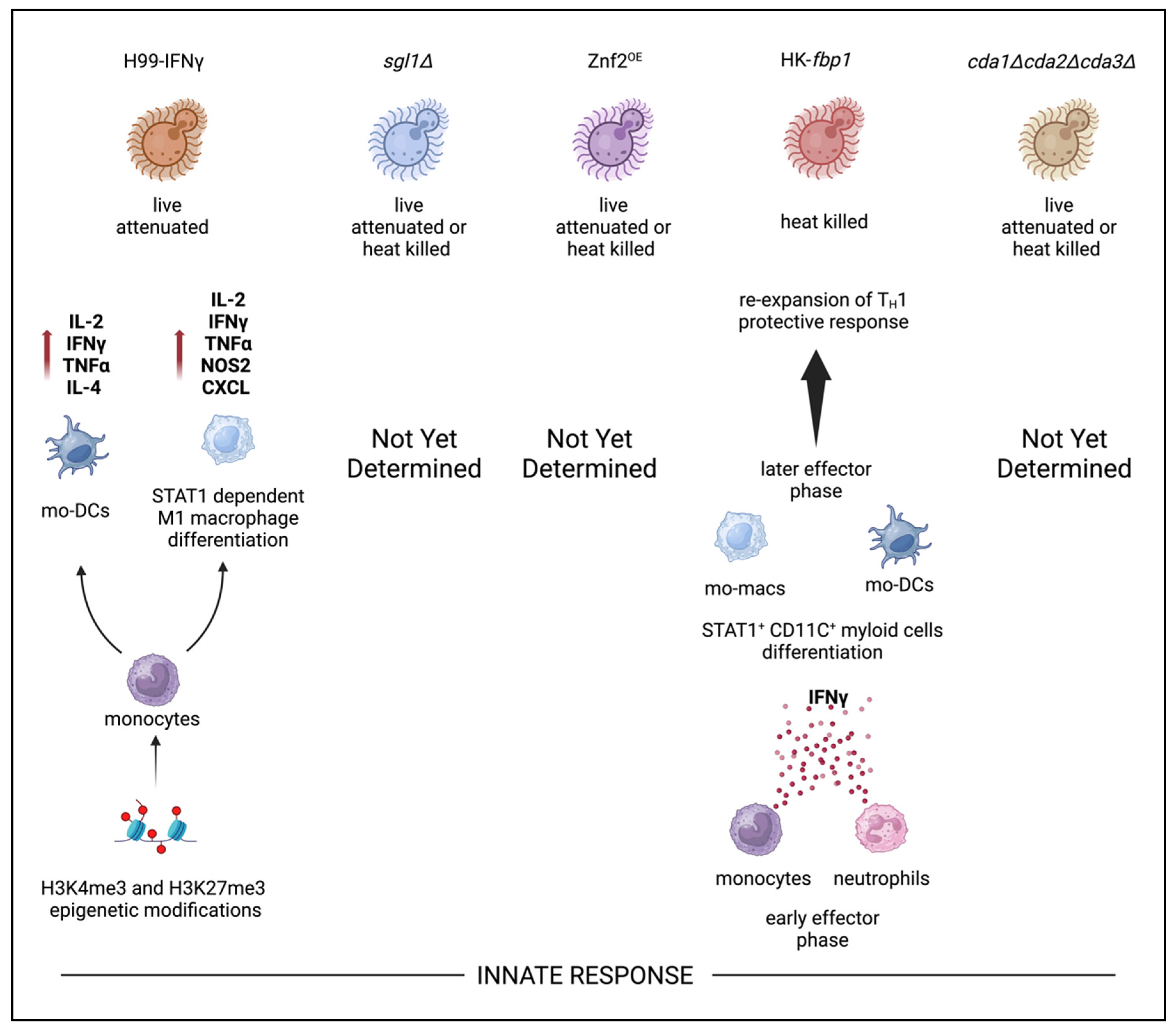 Preprints 137526 g003