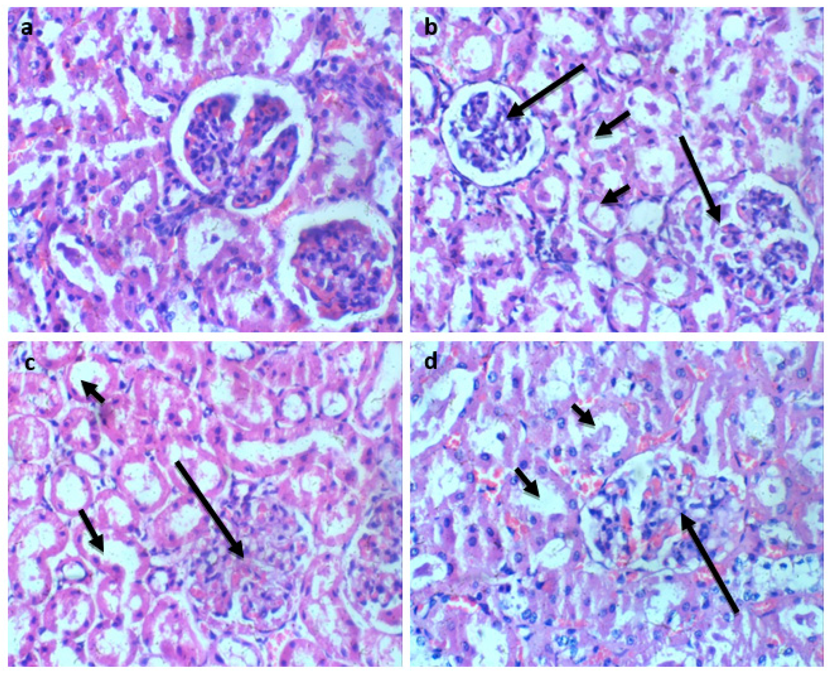 Preprints 84351 g003