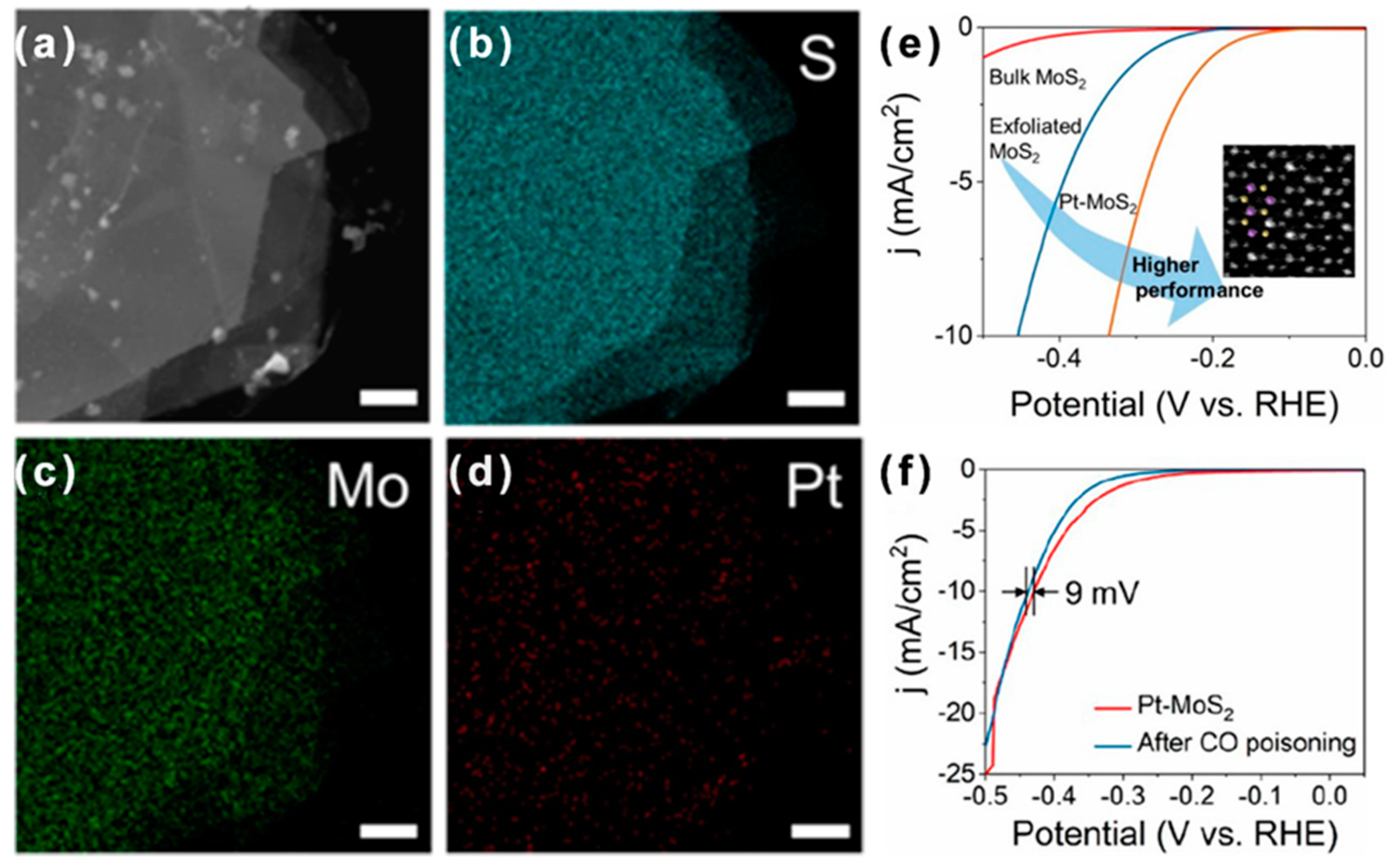 Preprints 83489 g005