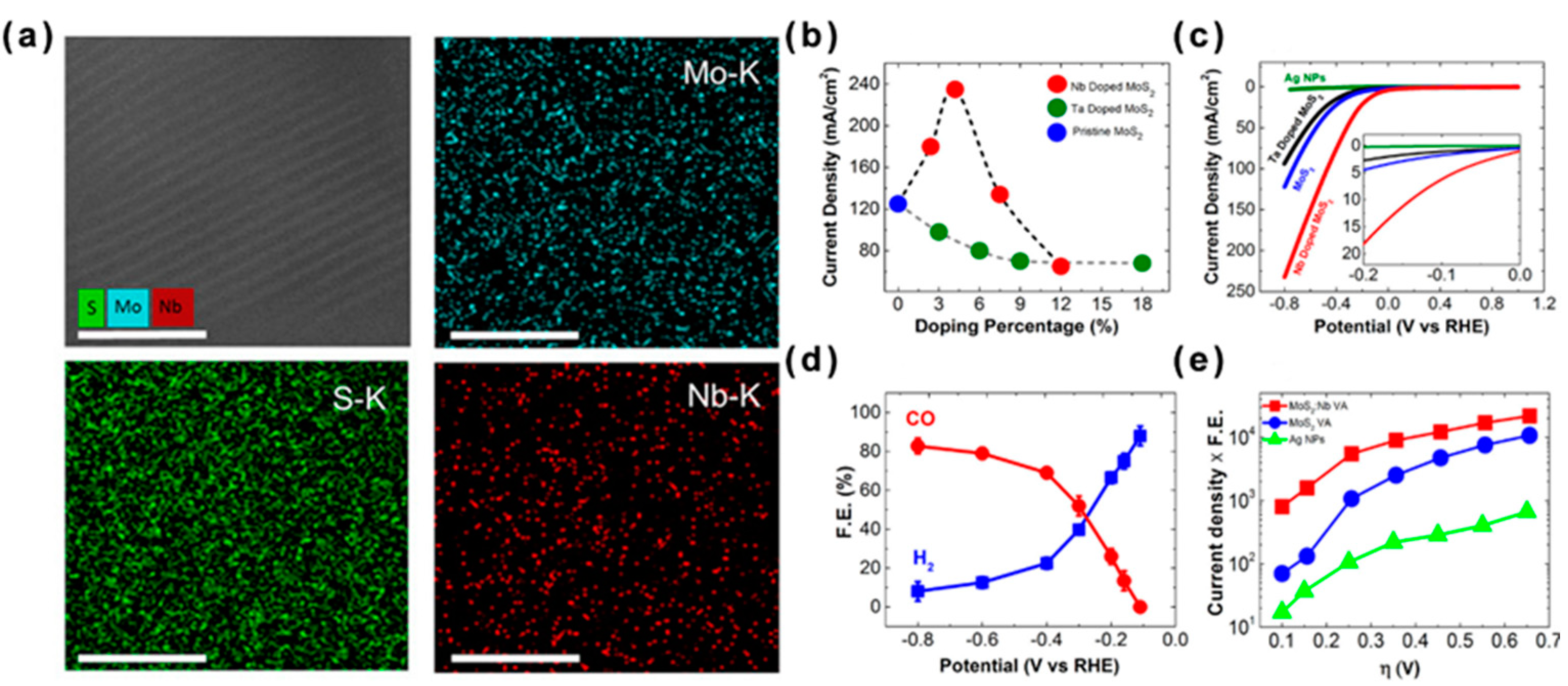 Preprints 83489 g006