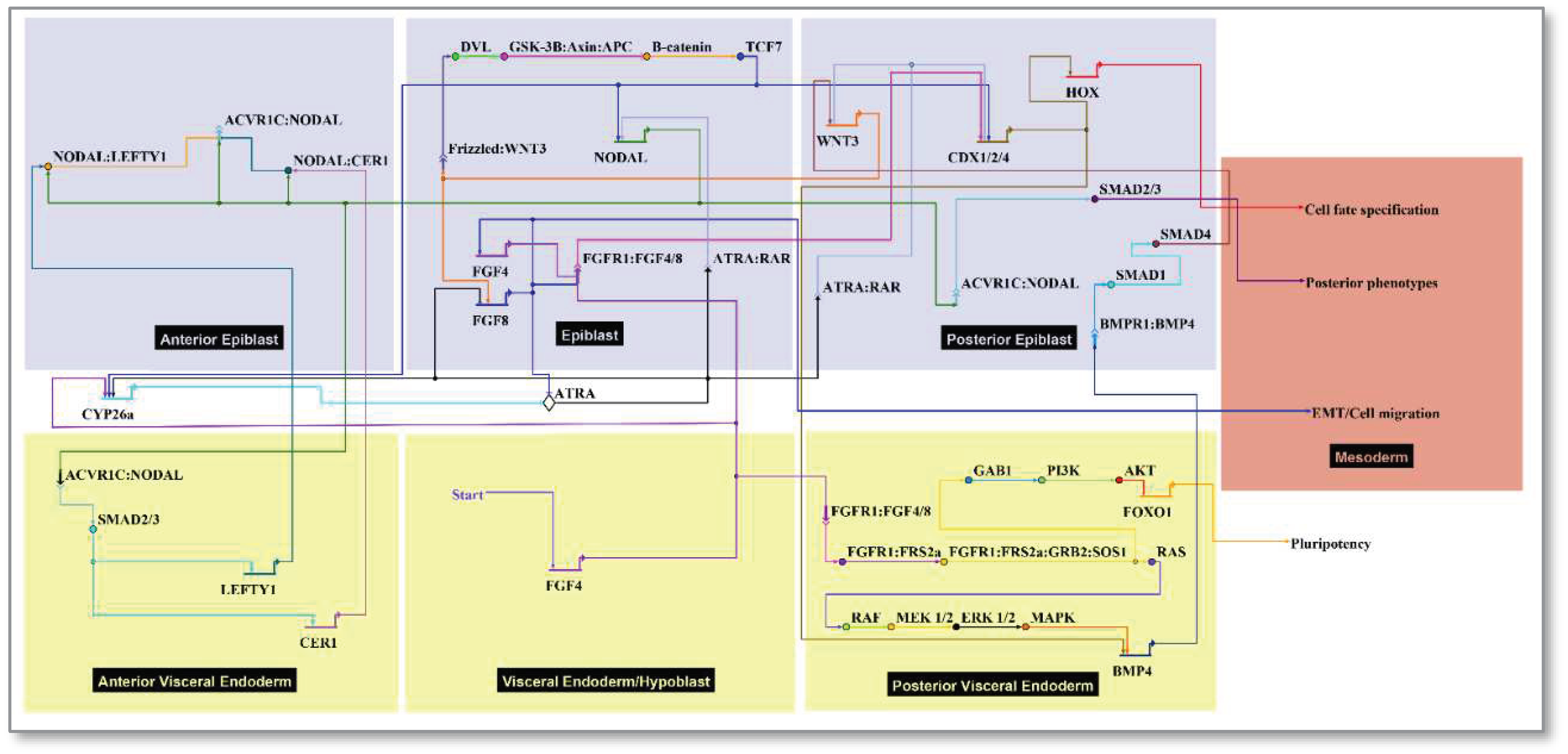 Preprints 86376 g002