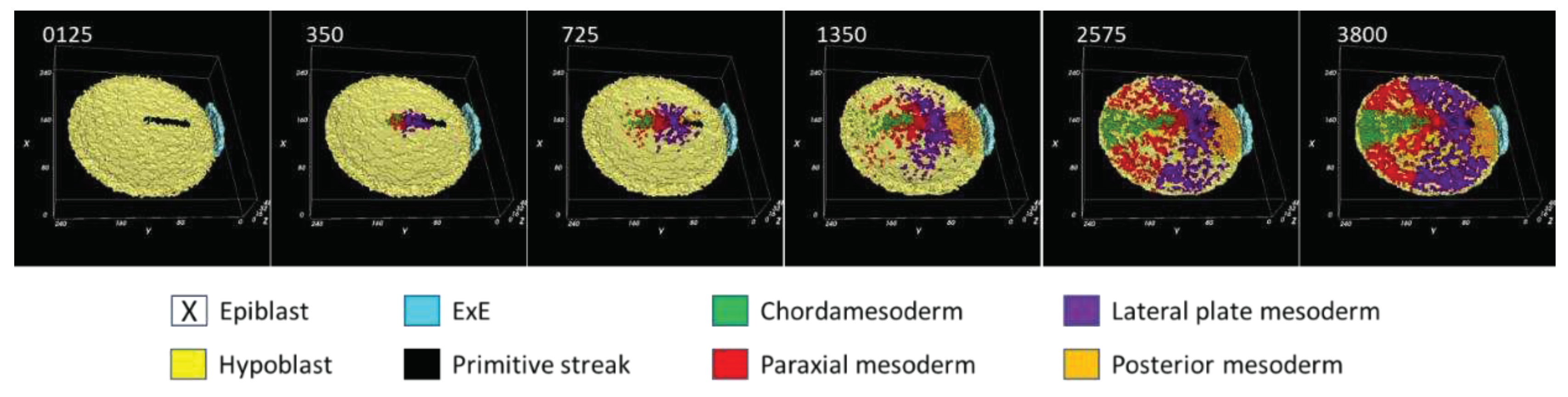 Preprints 86376 g003