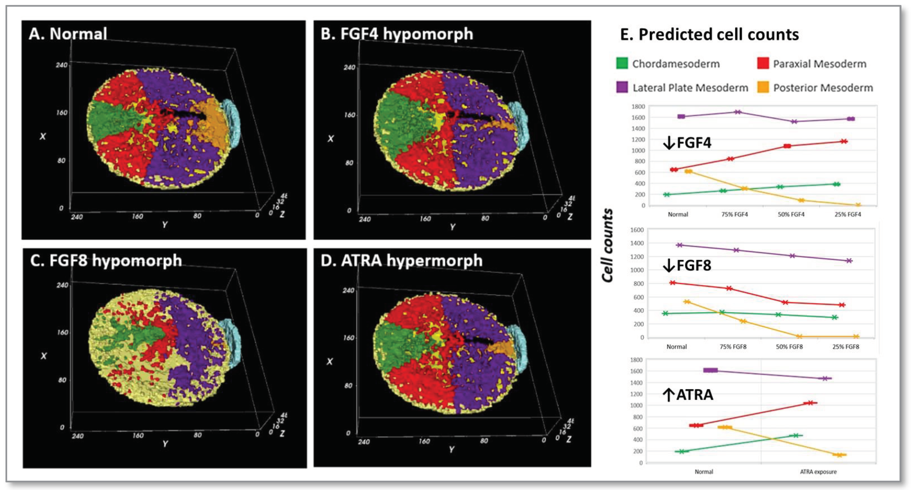 Preprints 86376 g004