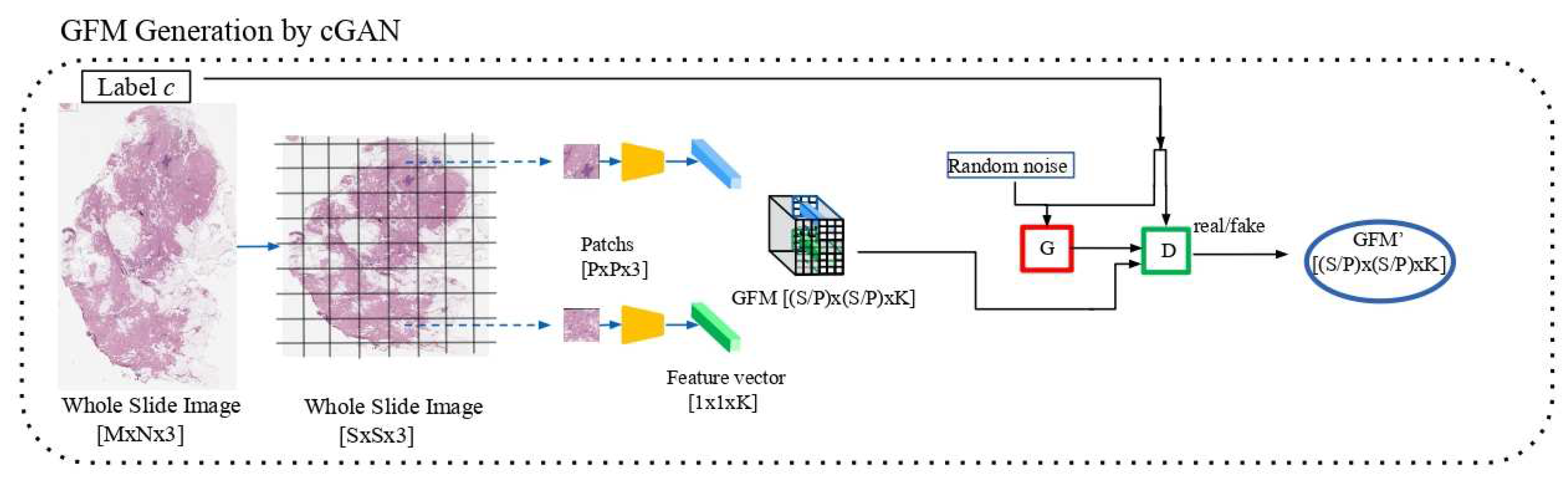 Preprints 93226 g002