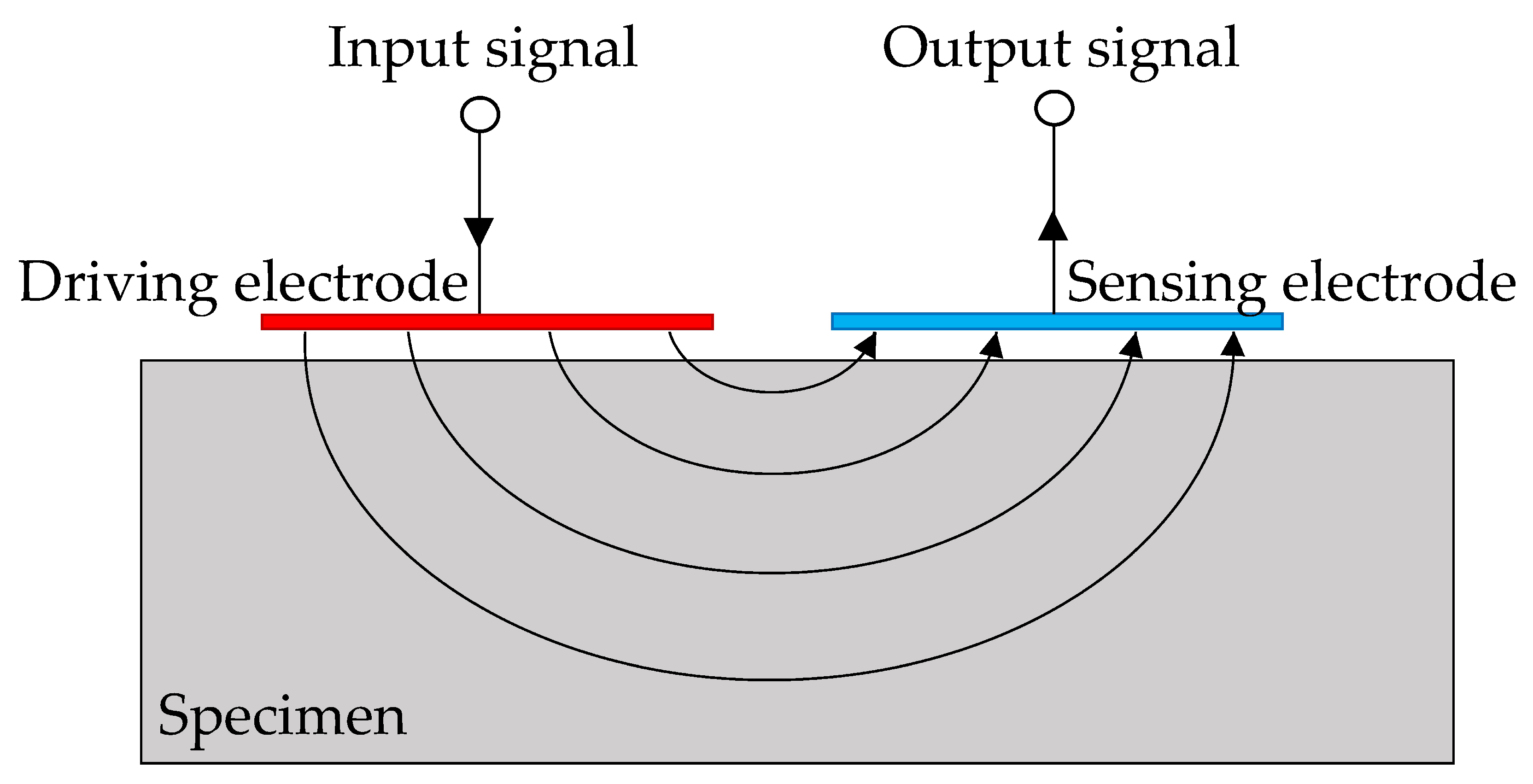 Preprints 110715 g002