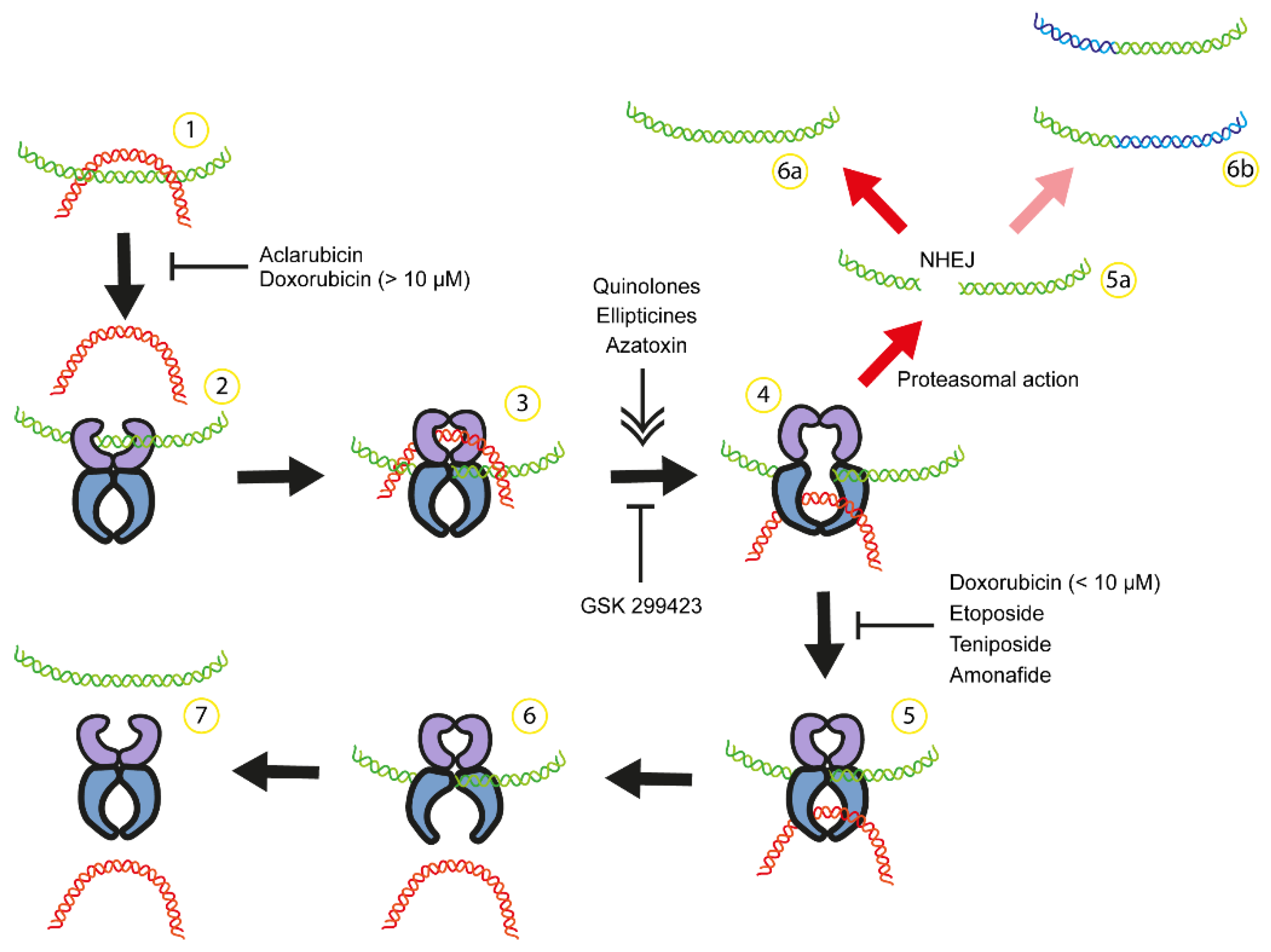 Preprints 112247 g001