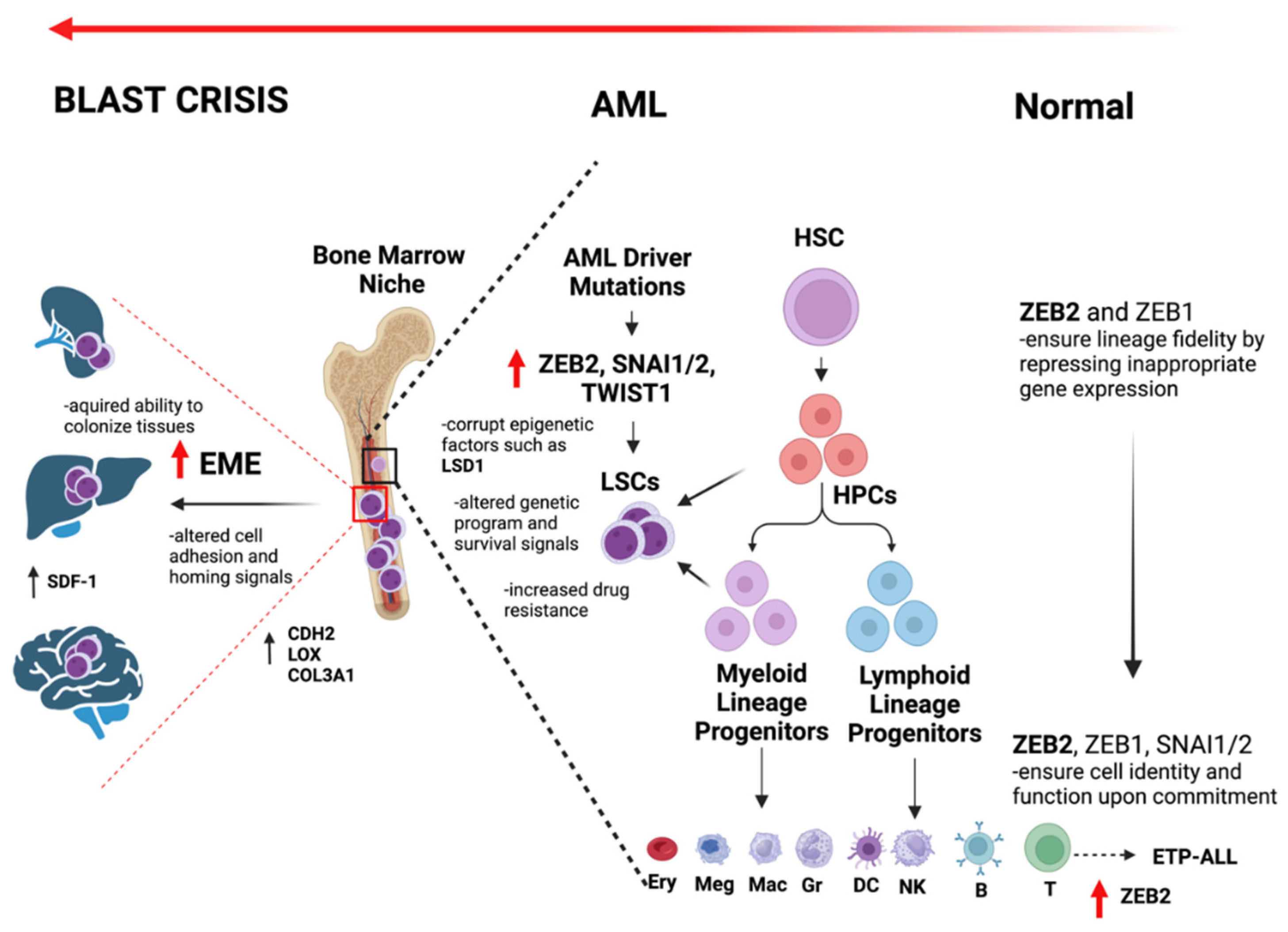 Preprints 112247 g002