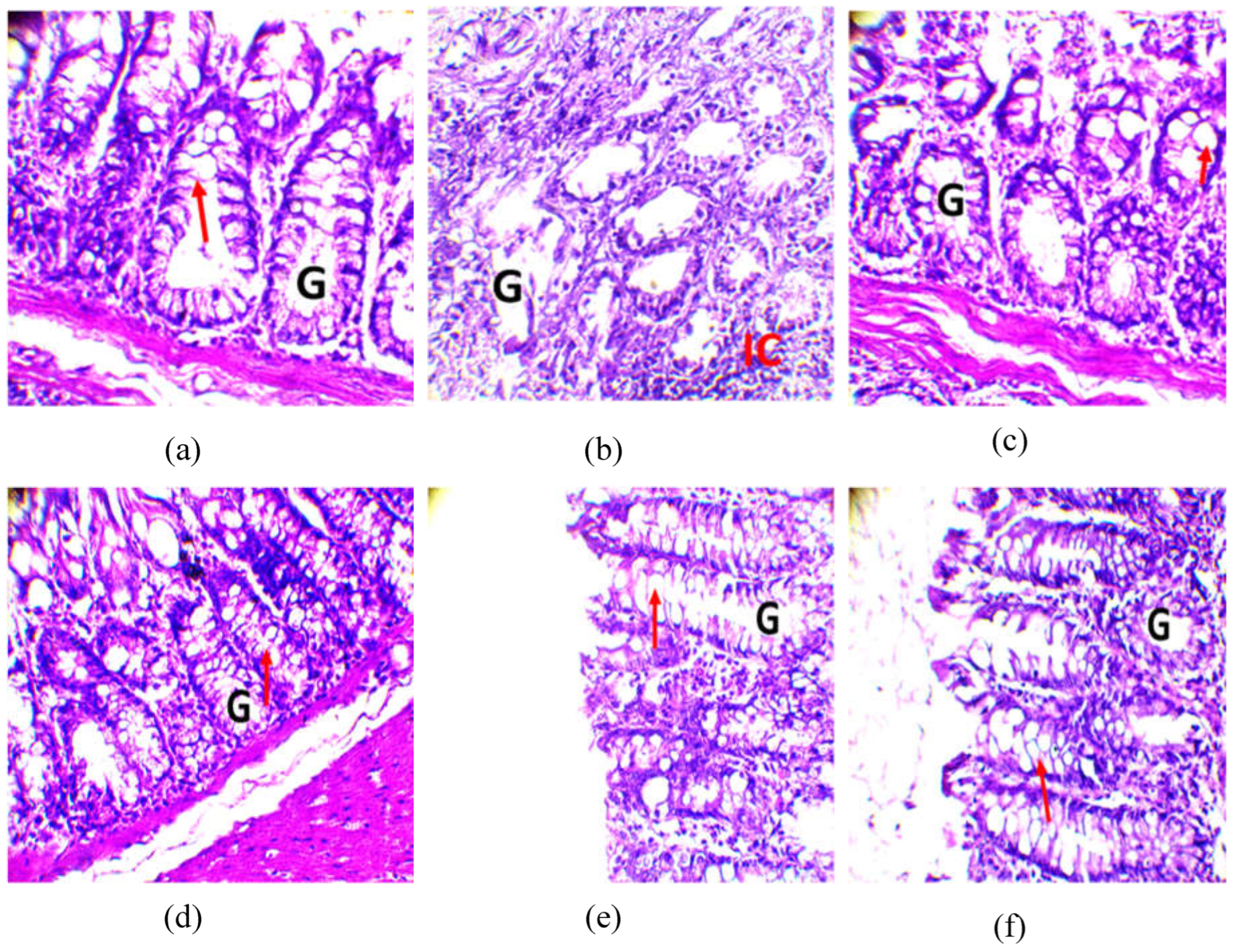 Preprints 72915 g008