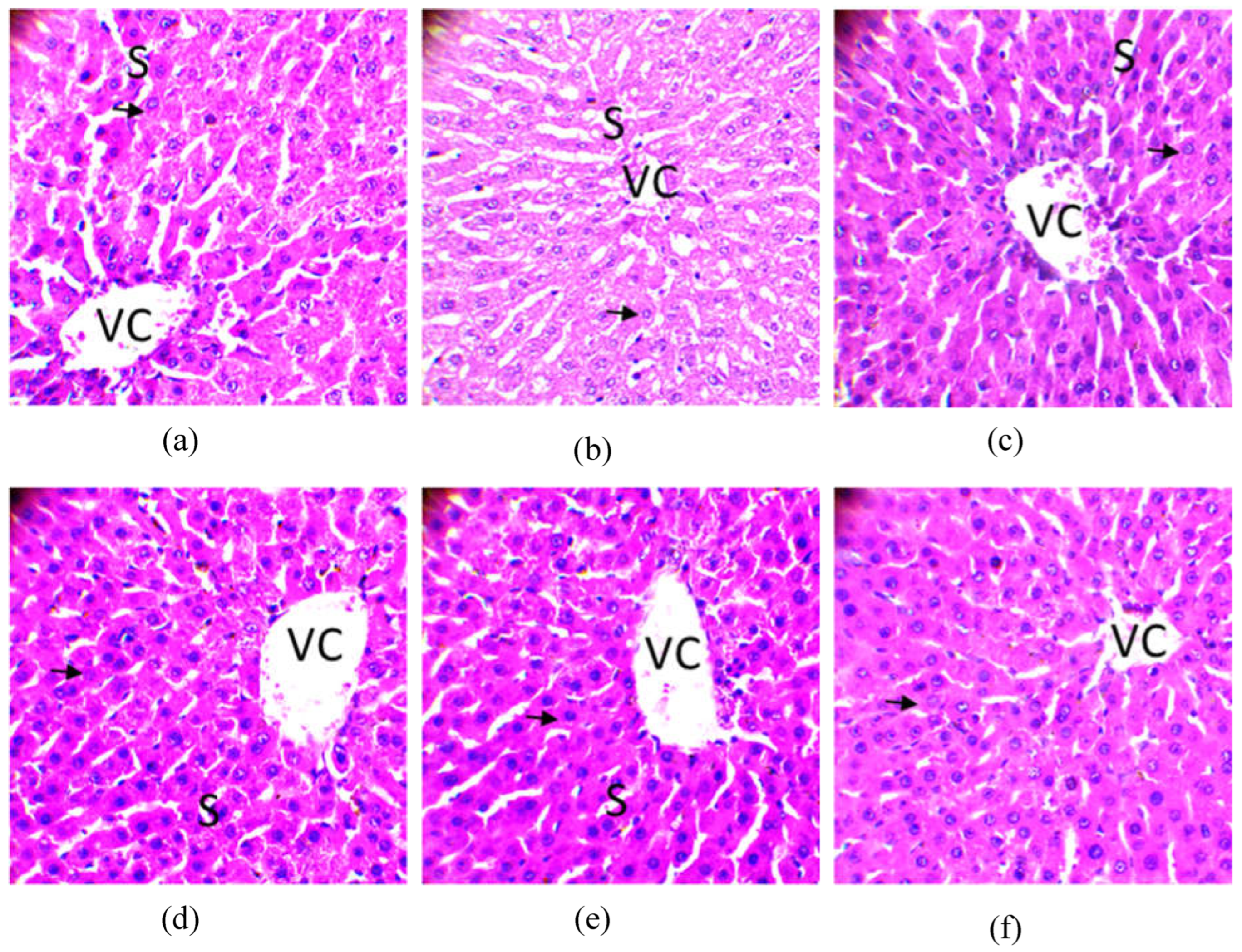 Preprints 72915 g009