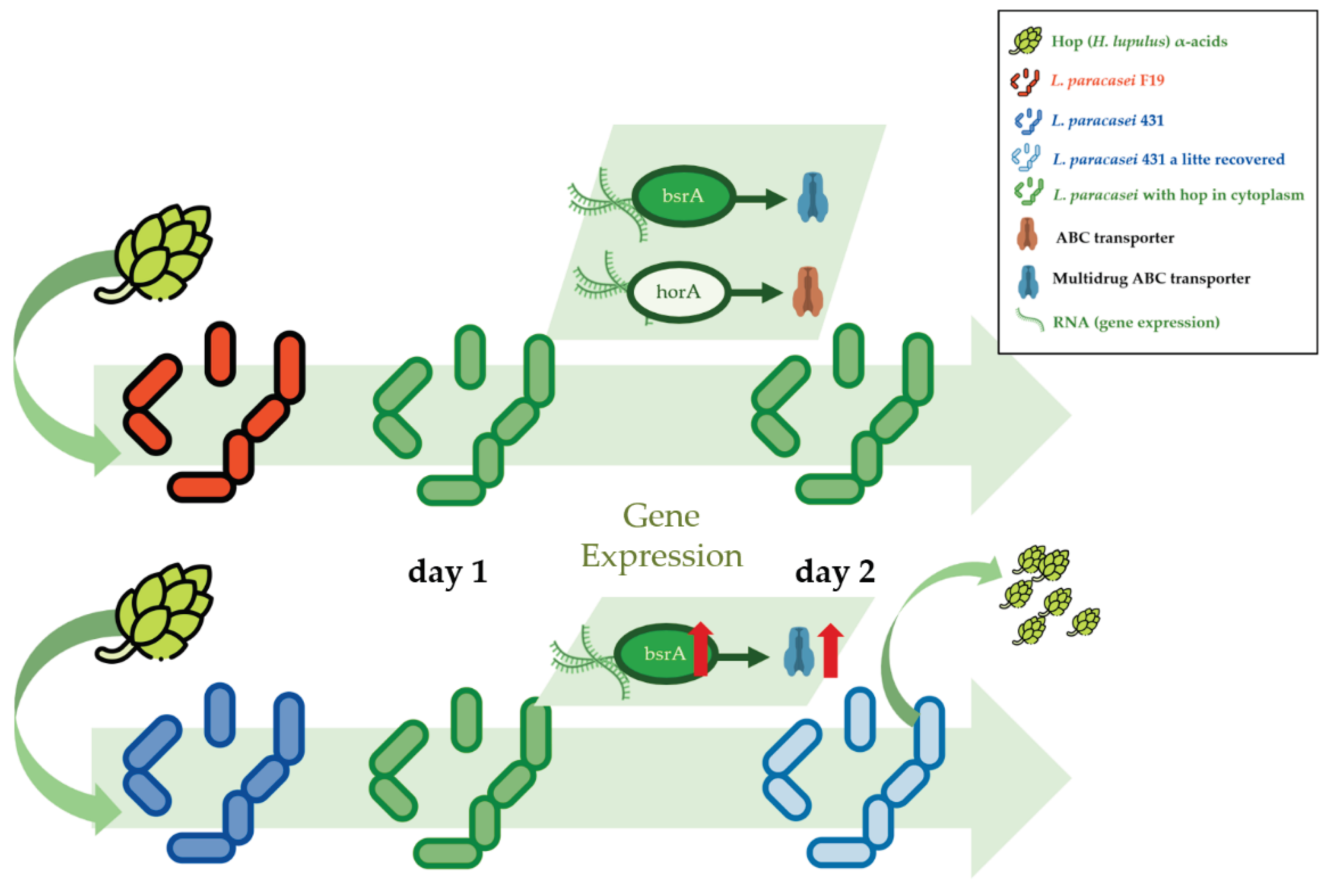 Preprints 100526 g003