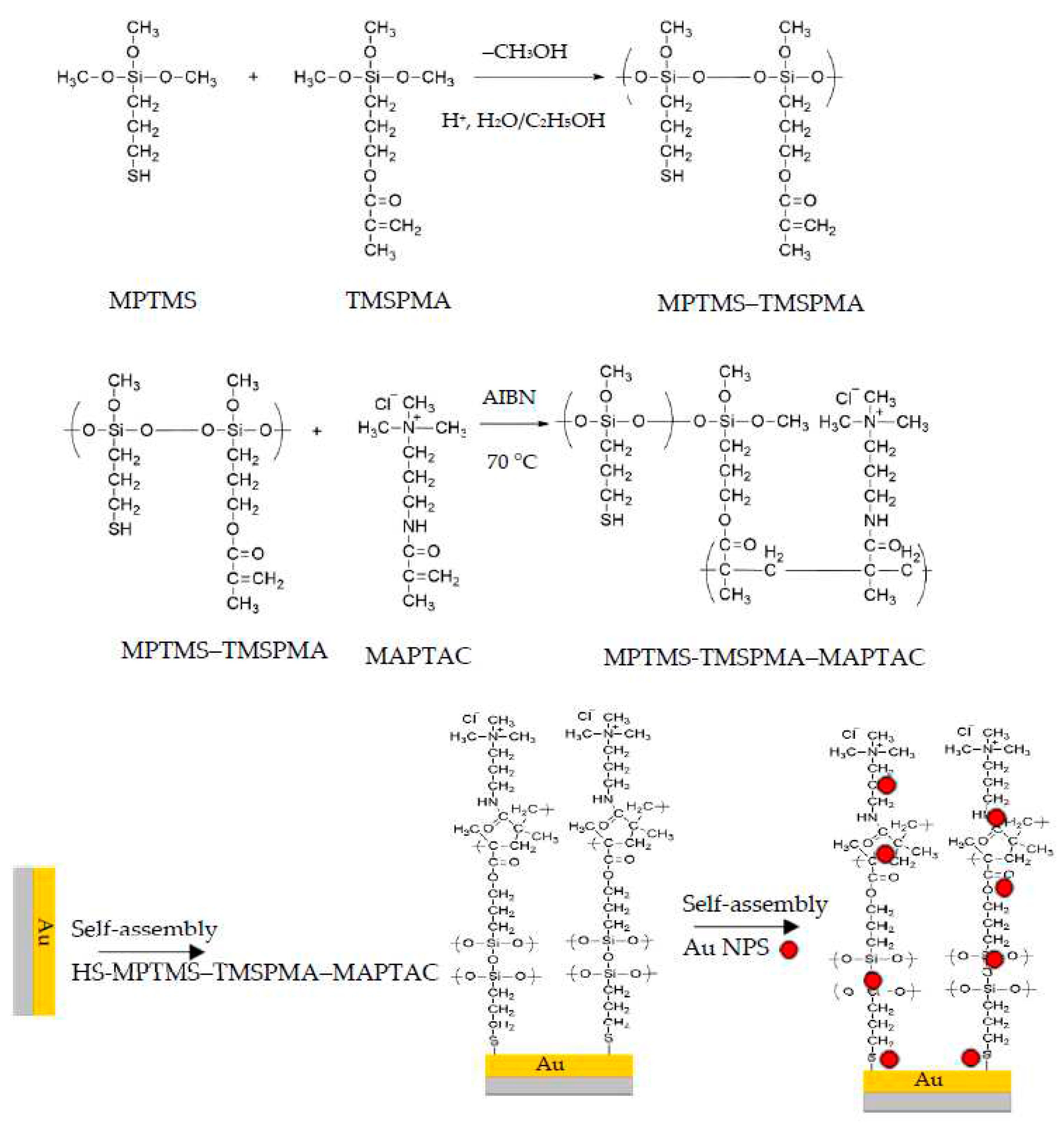 Preprints 71248 g002