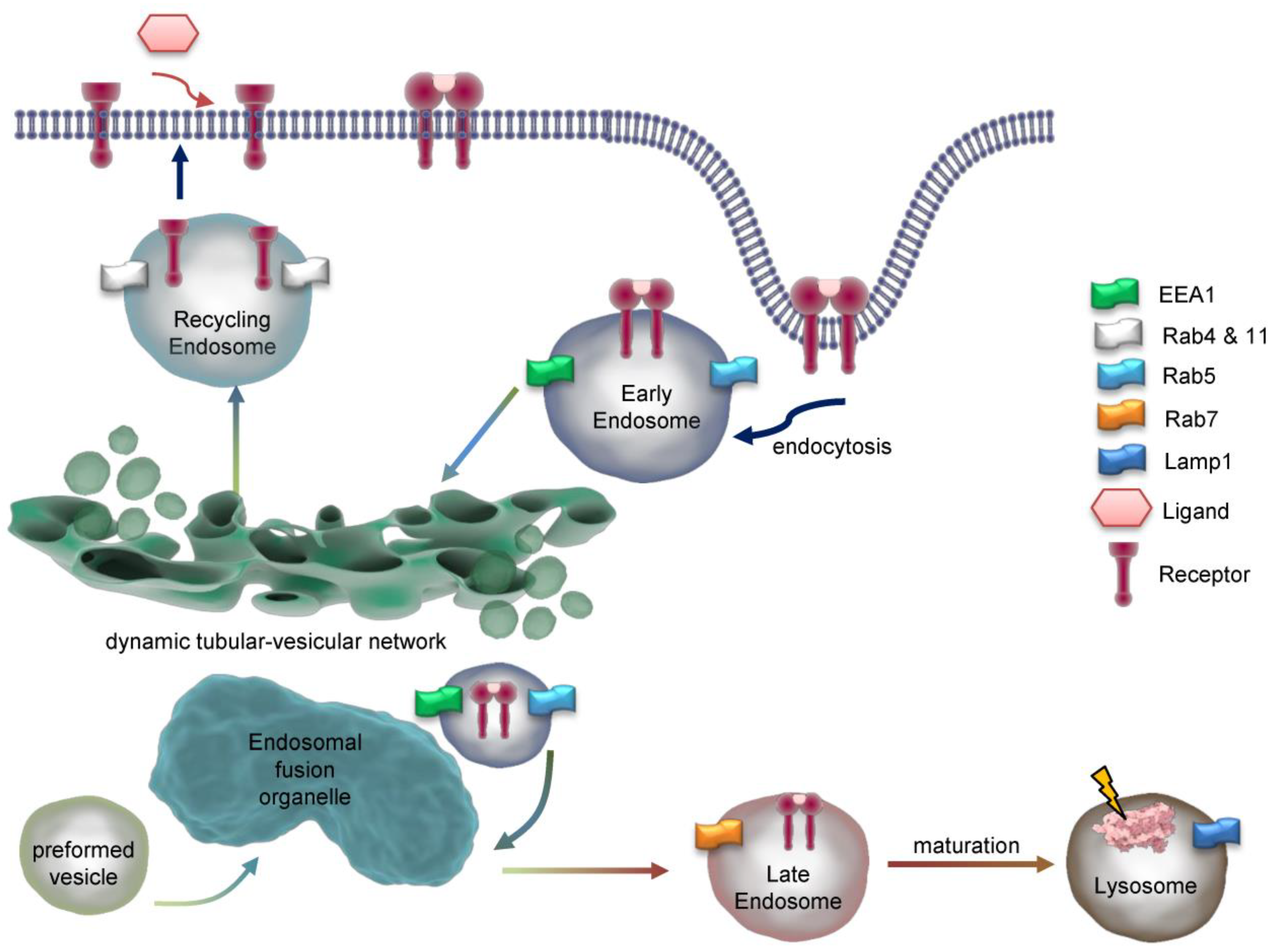 Preprints 119140 g003