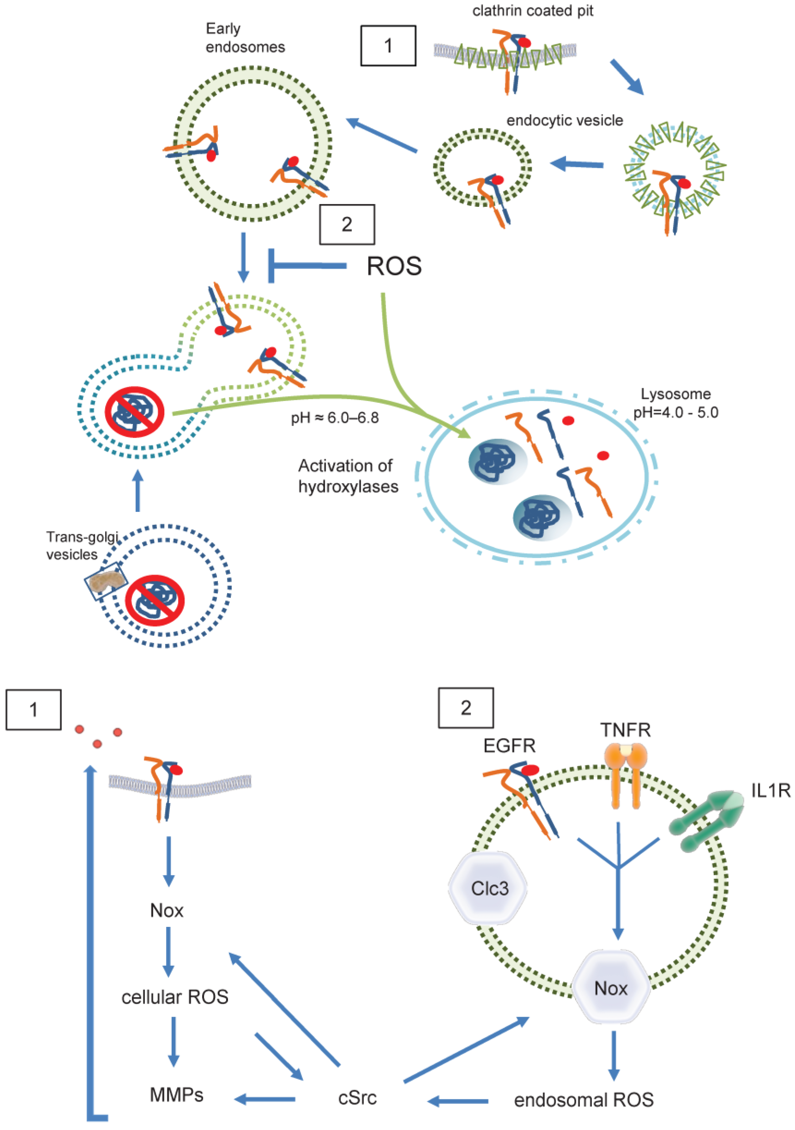 Preprints 119140 g005