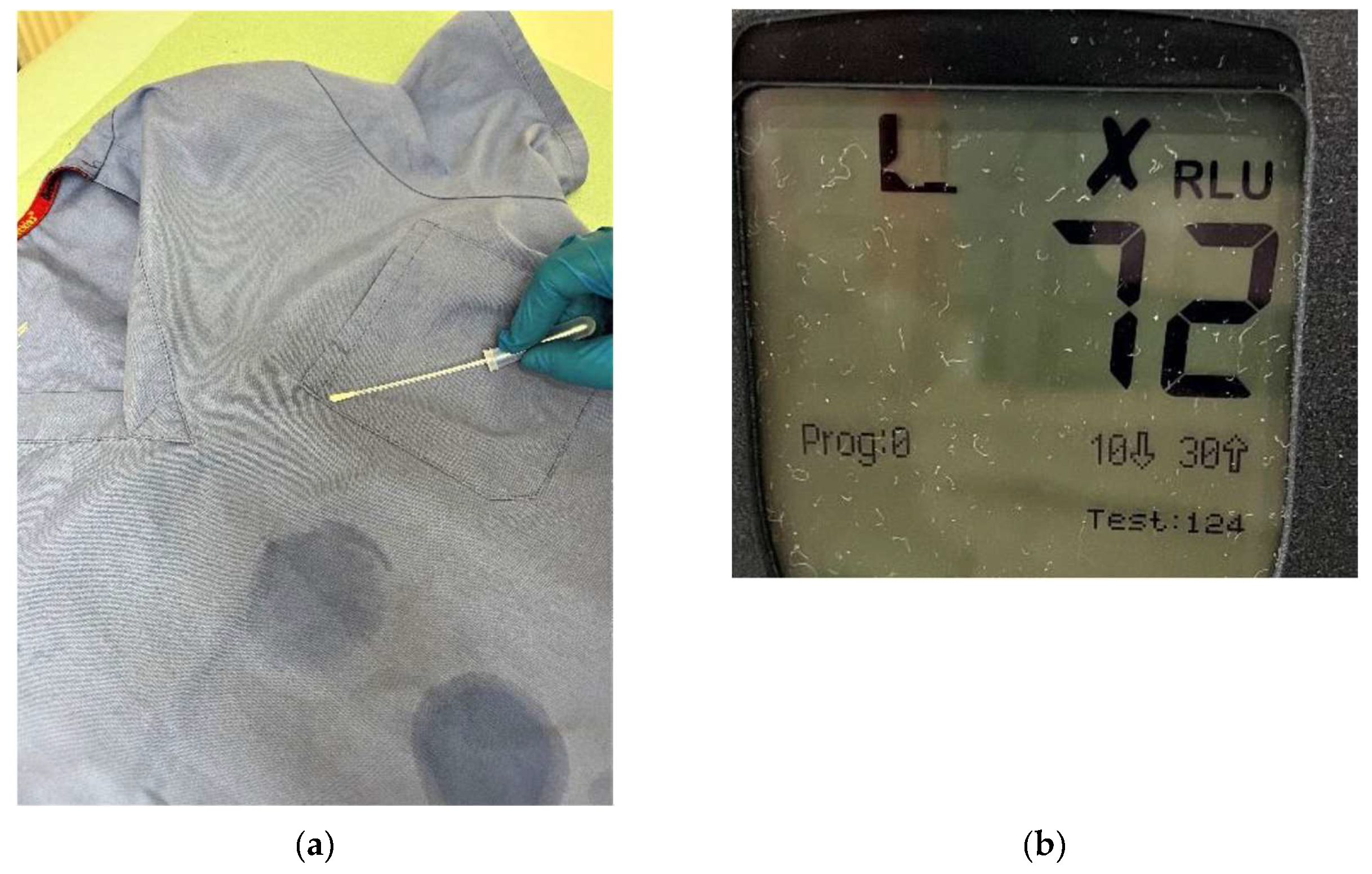 Preprints 77857 g002