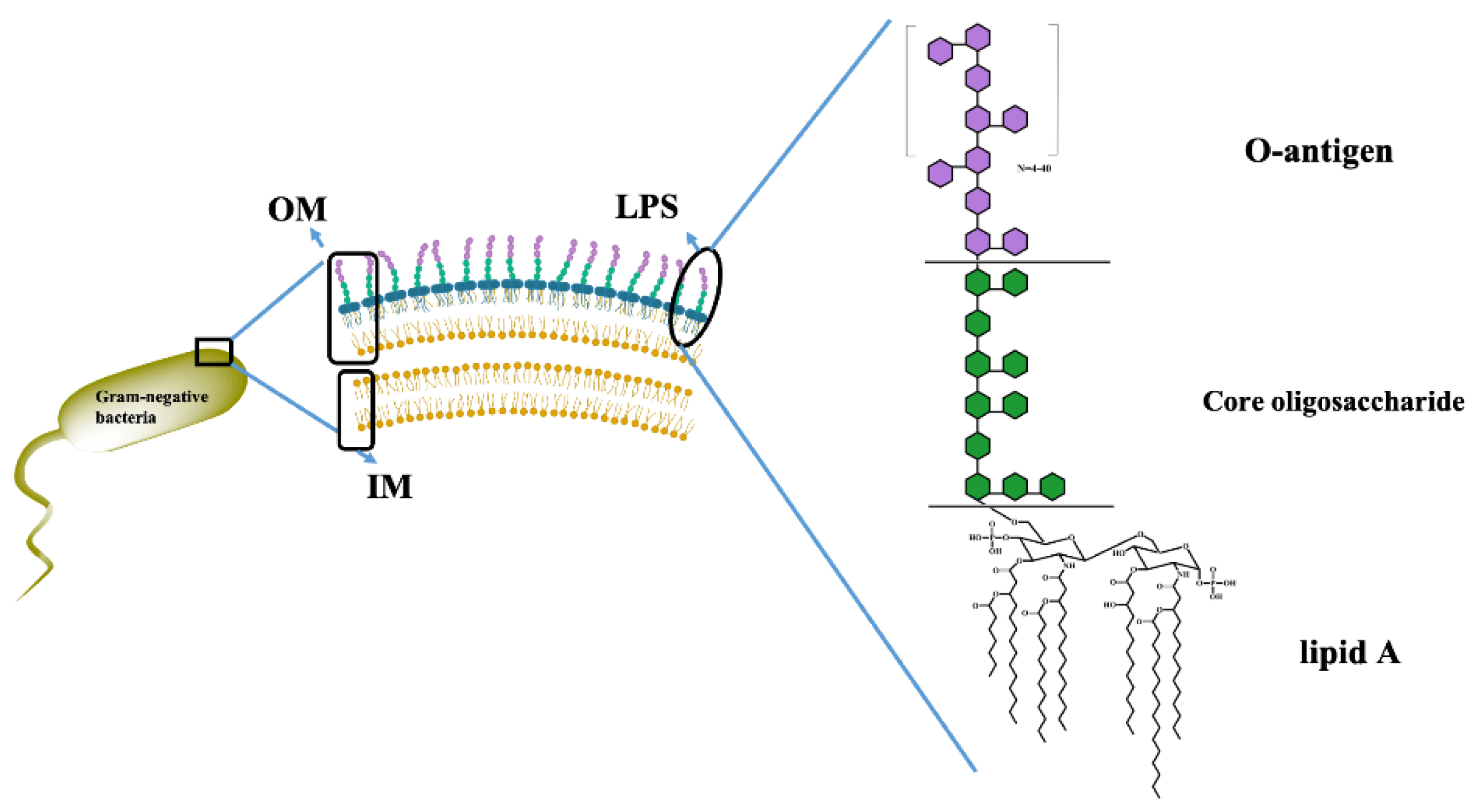 Preprints 116613 g001