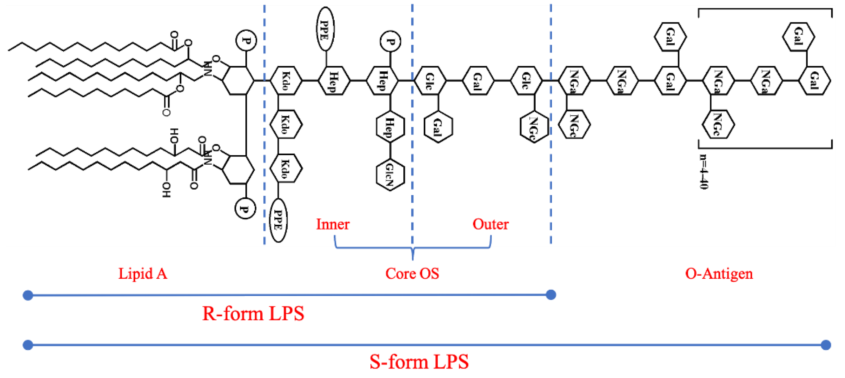 Preprints 116613 g002