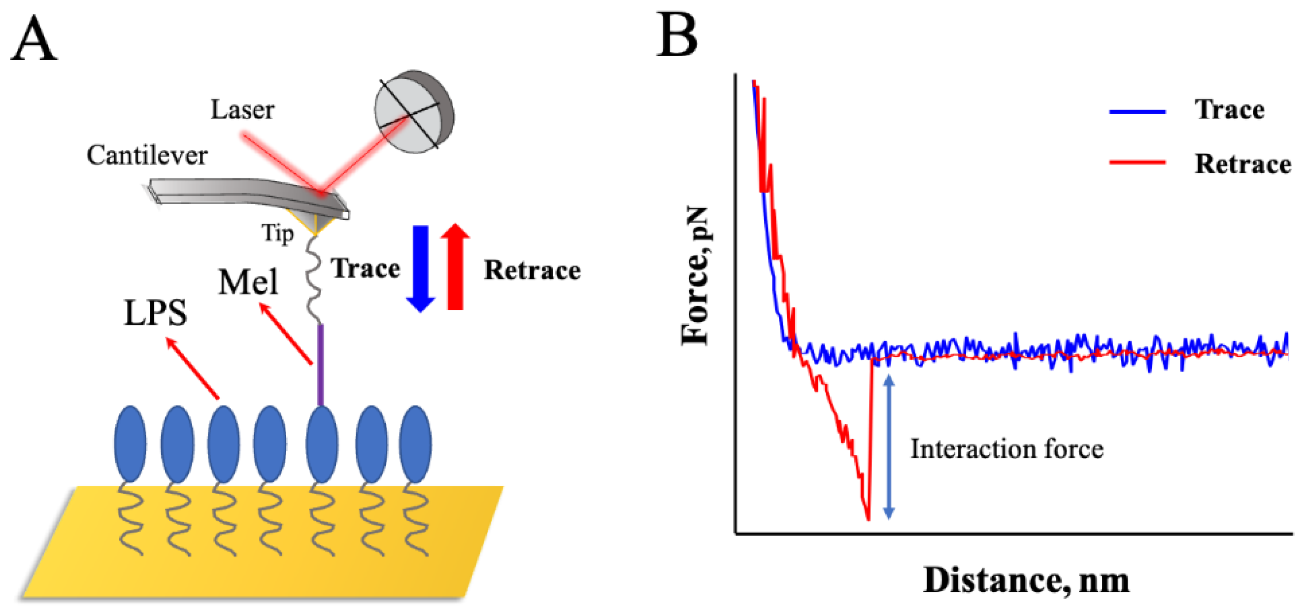 Preprints 116613 g004