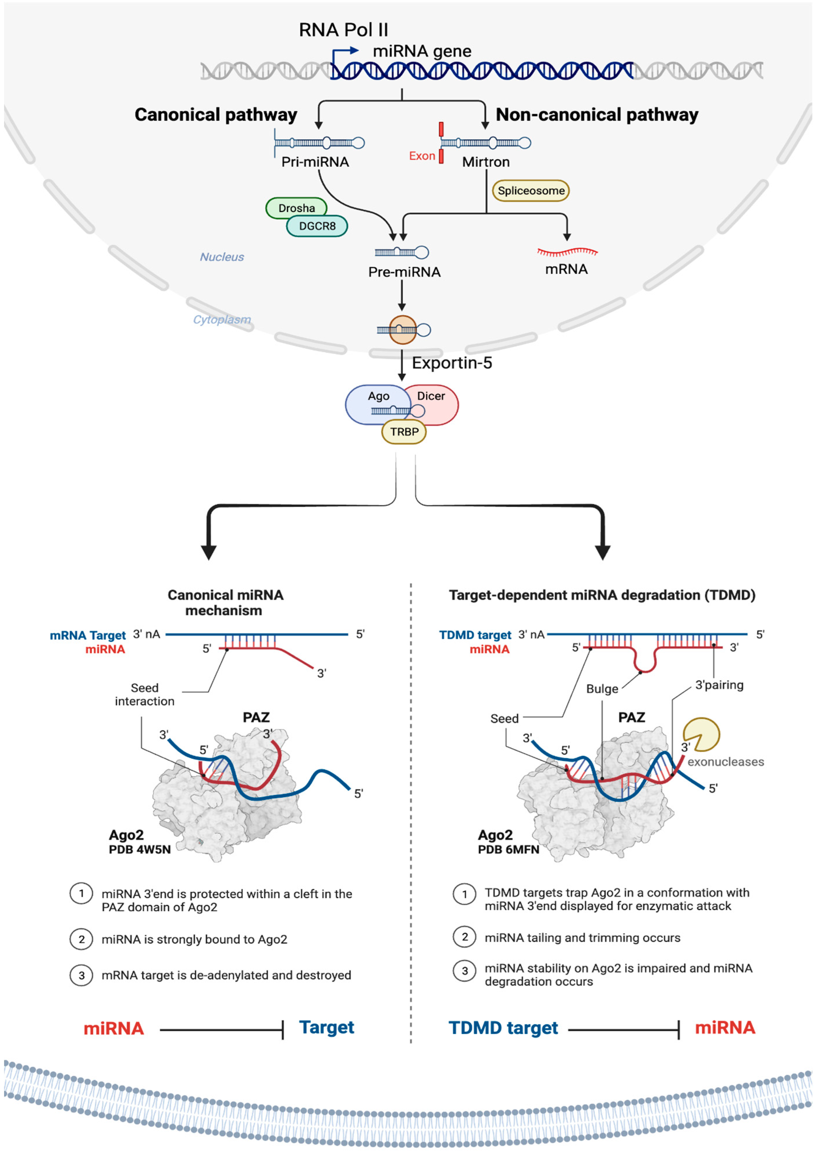 Preprints 94323 g001