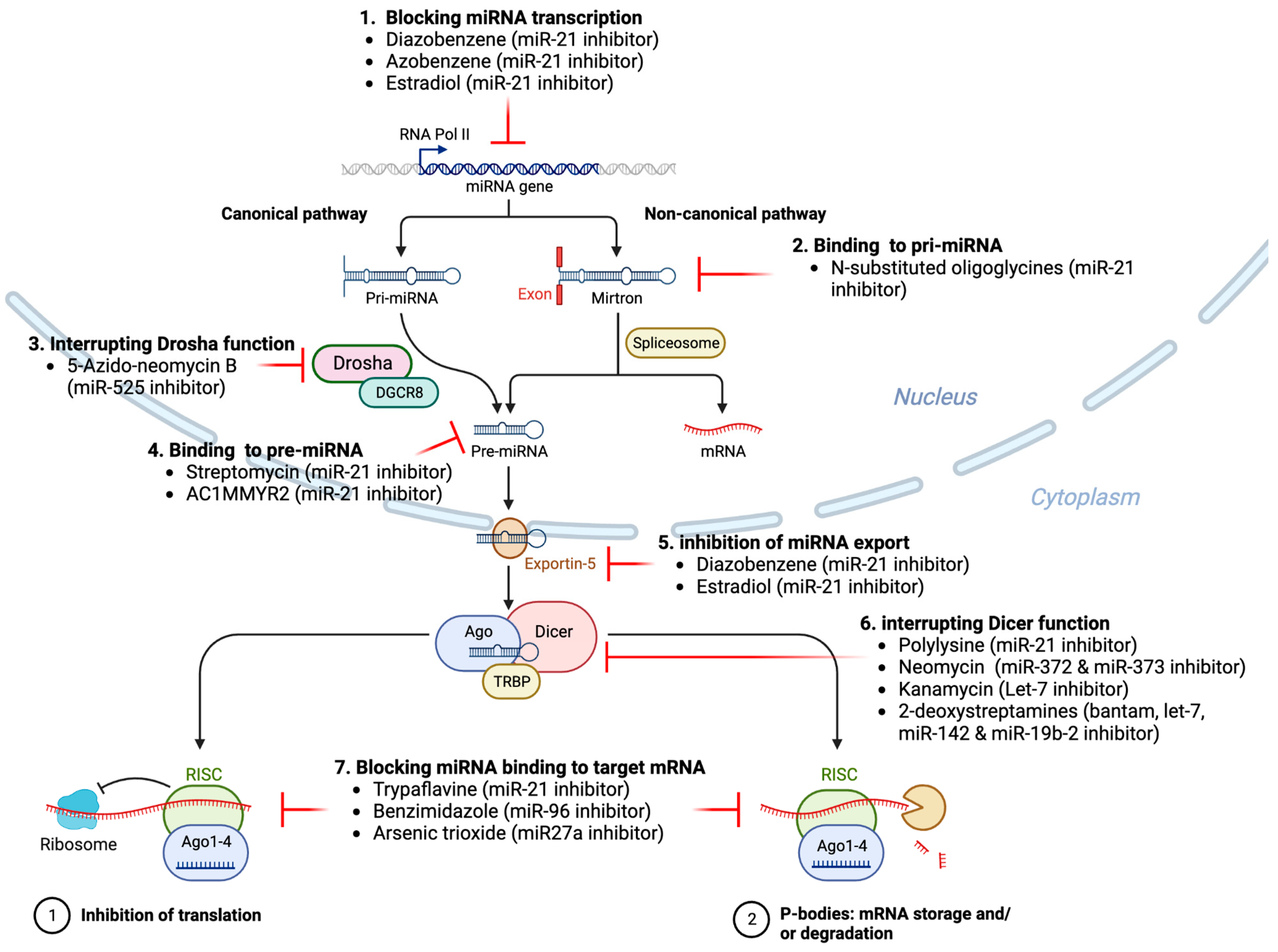 Preprints 94323 g002