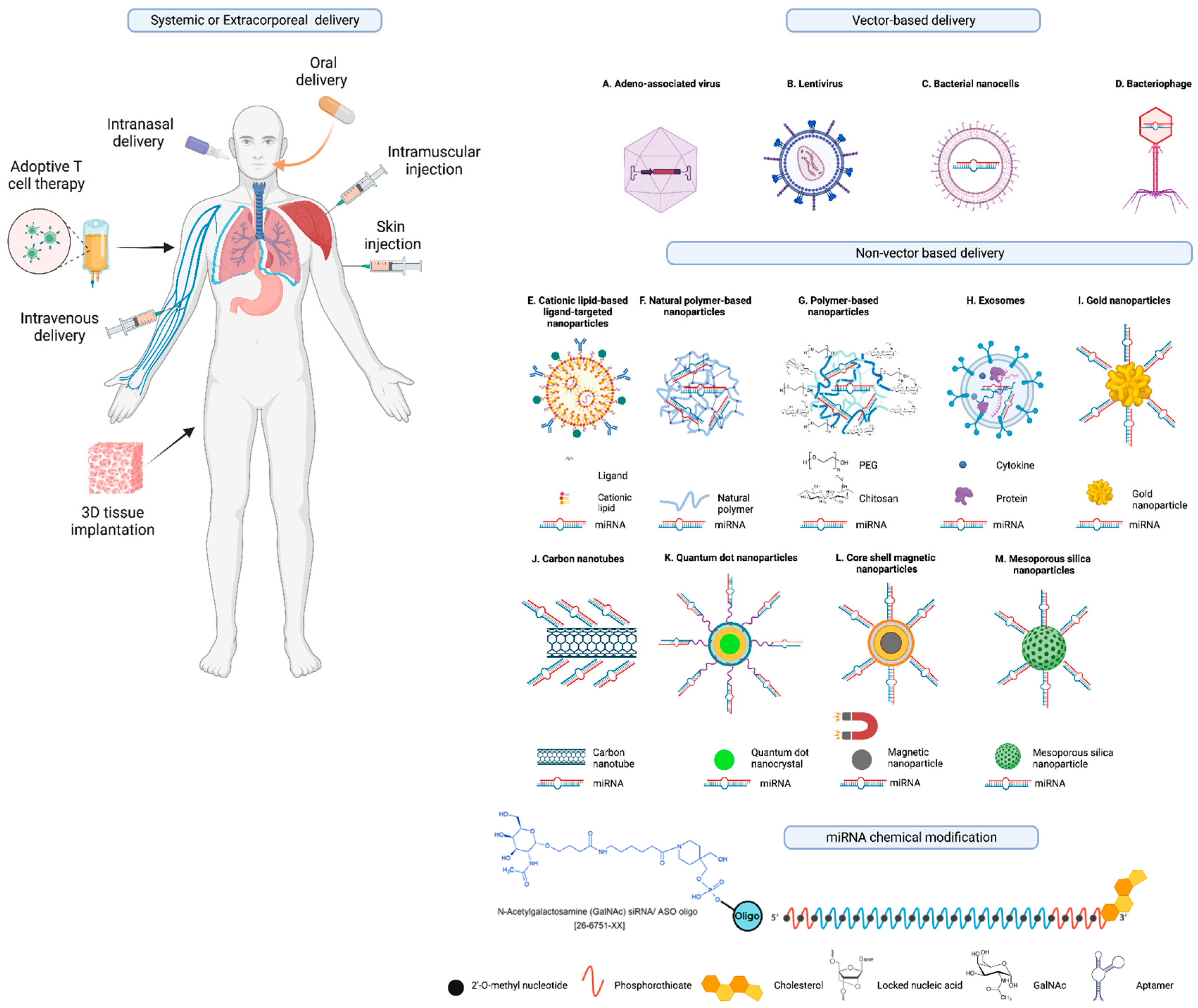 Preprints 94323 g004