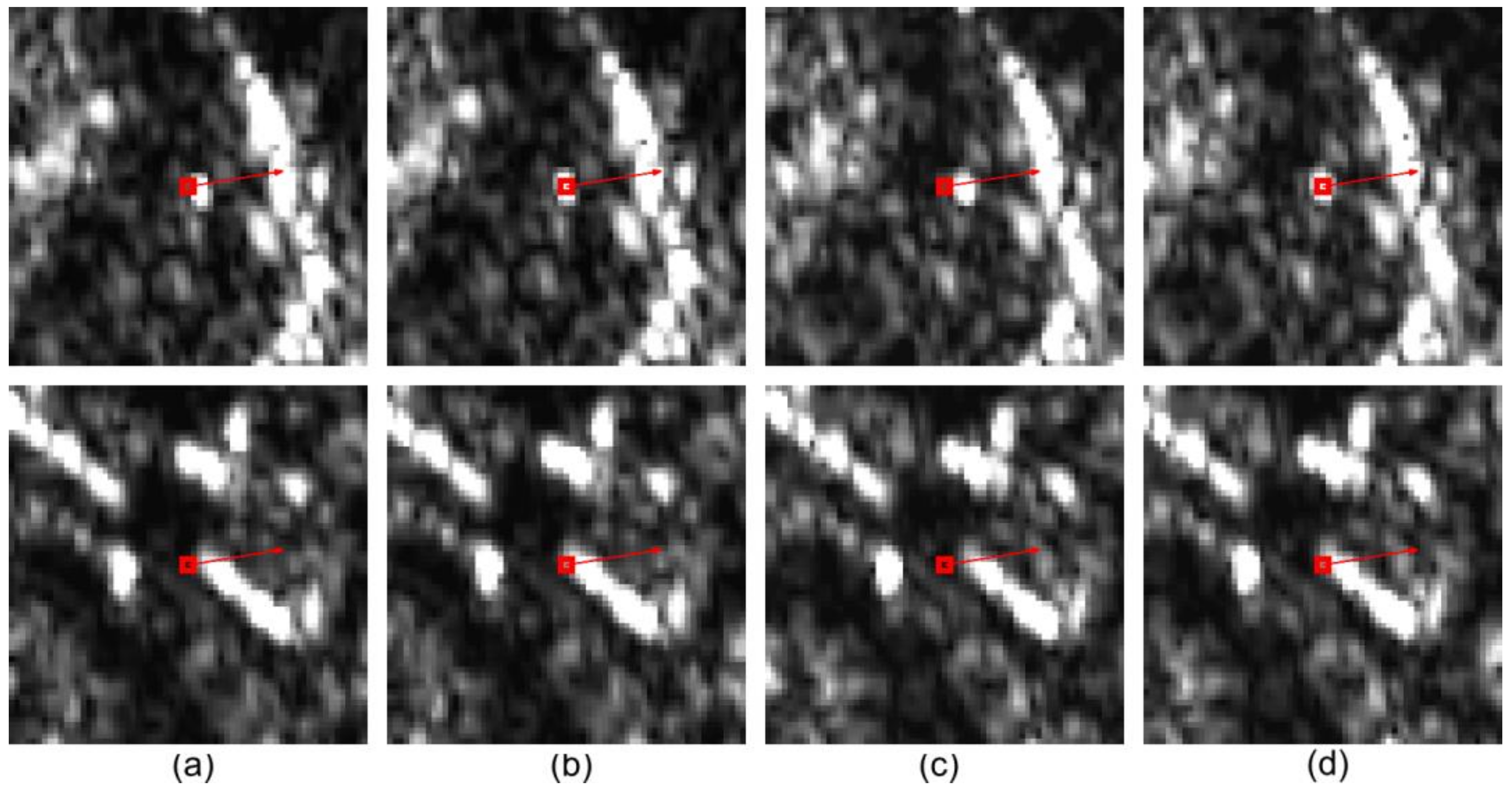 Preprints 119915 g009