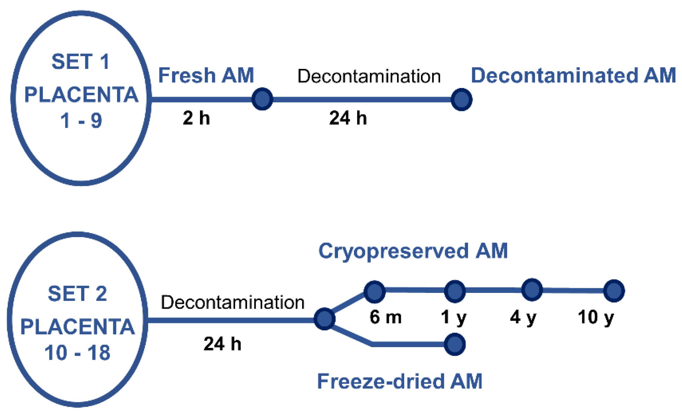 Preprints 74709 g001