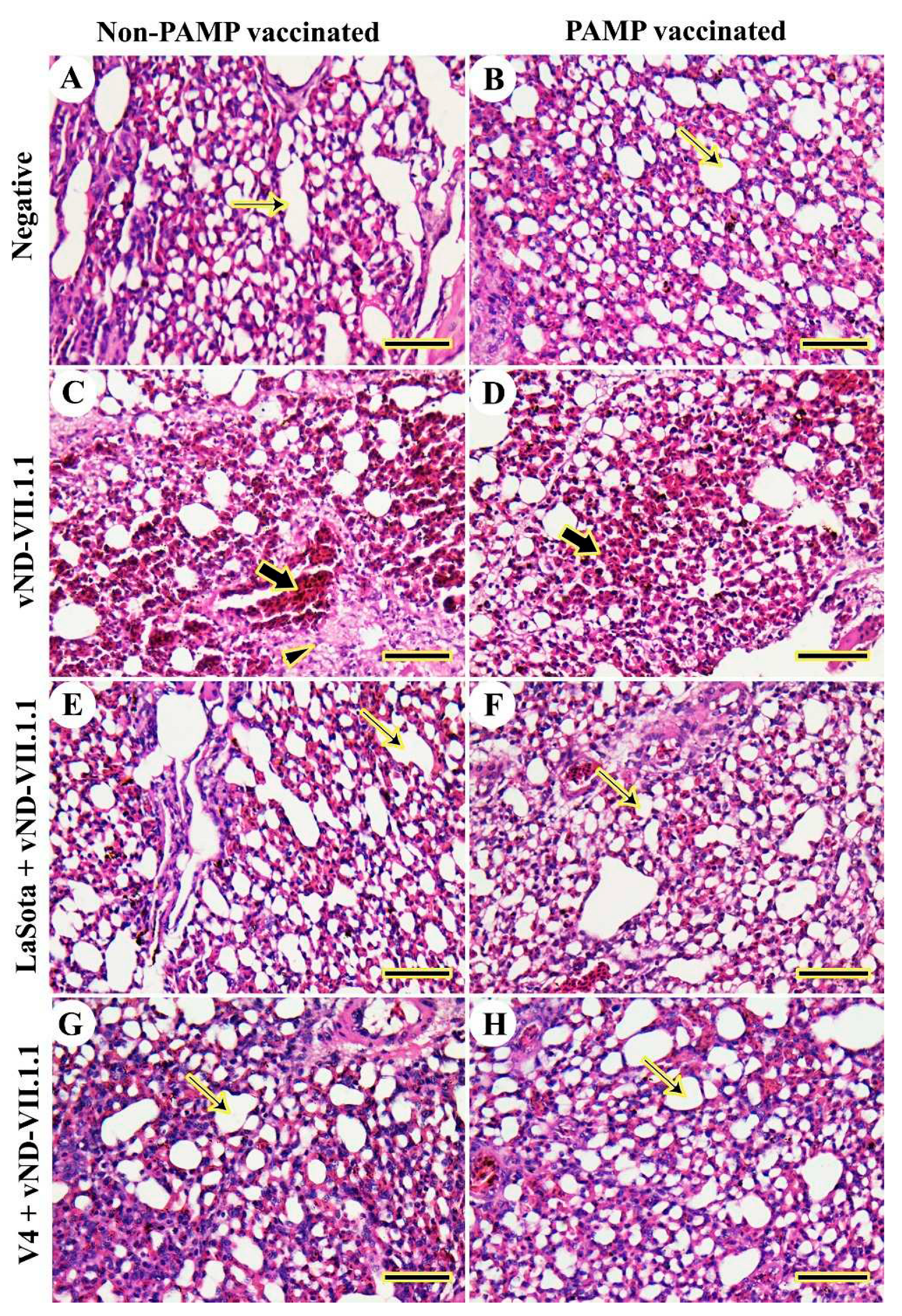 Preprints 82787 g003