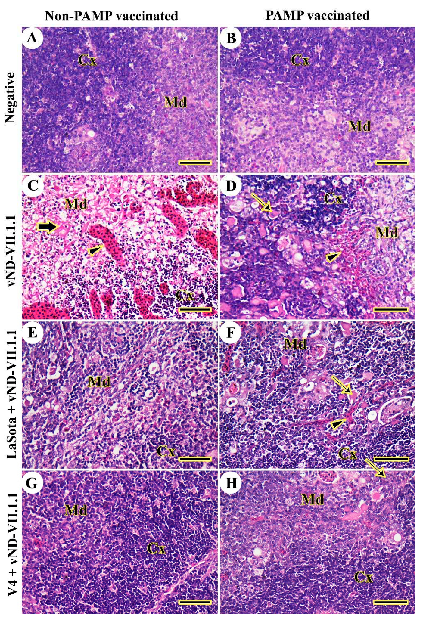 Preprints 82787 g004