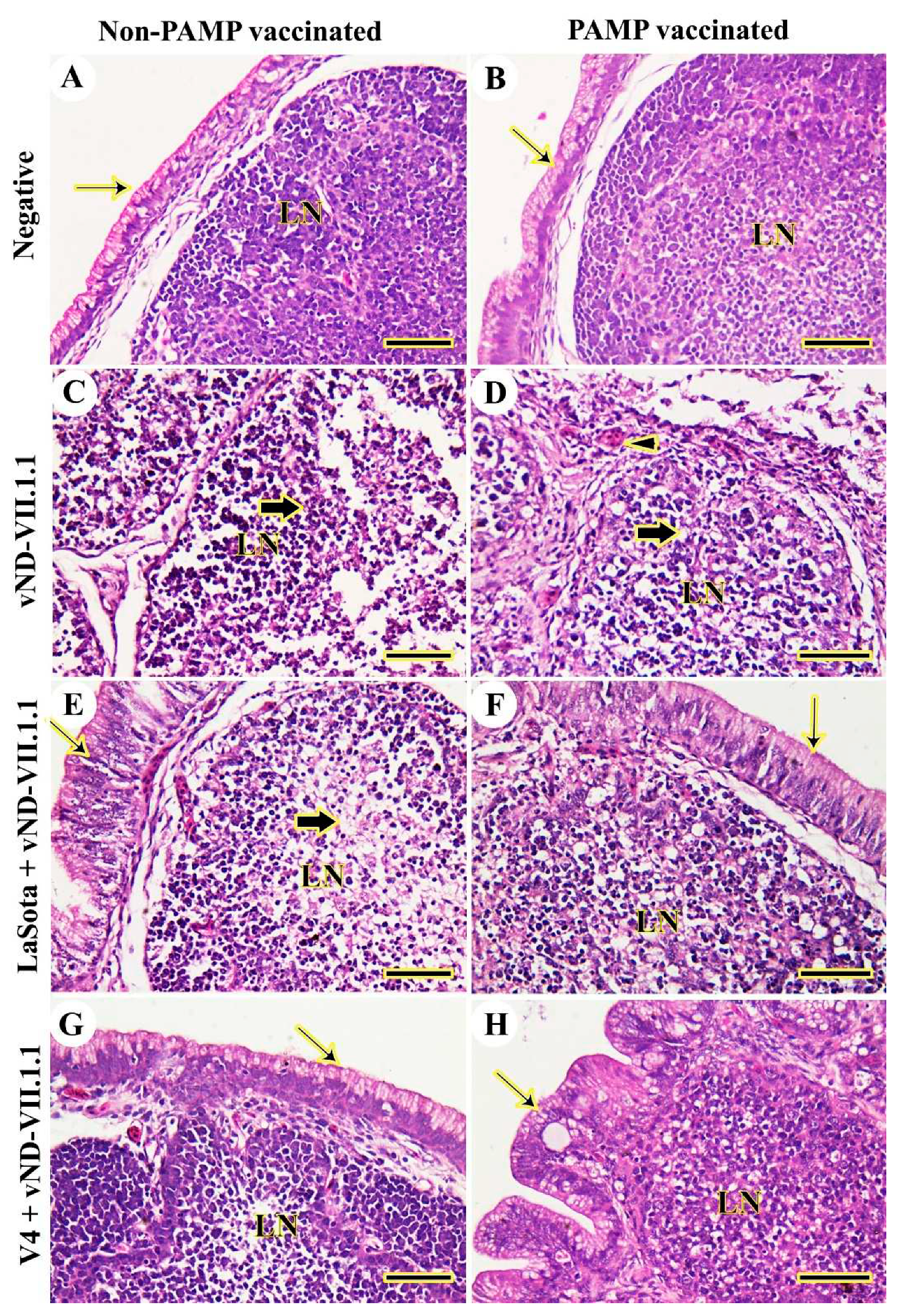 Preprints 82787 g006