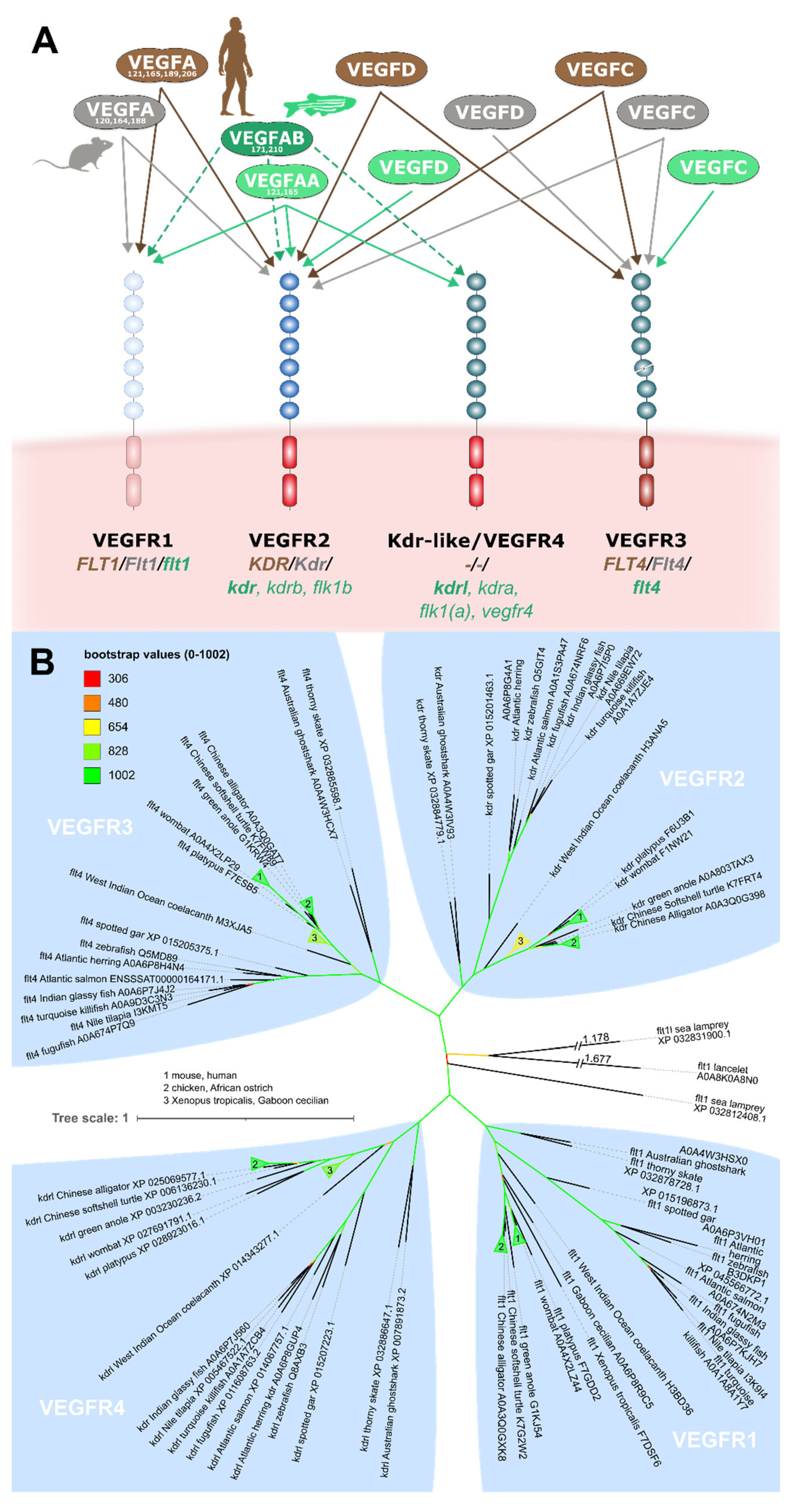 Preprints 94641 g007