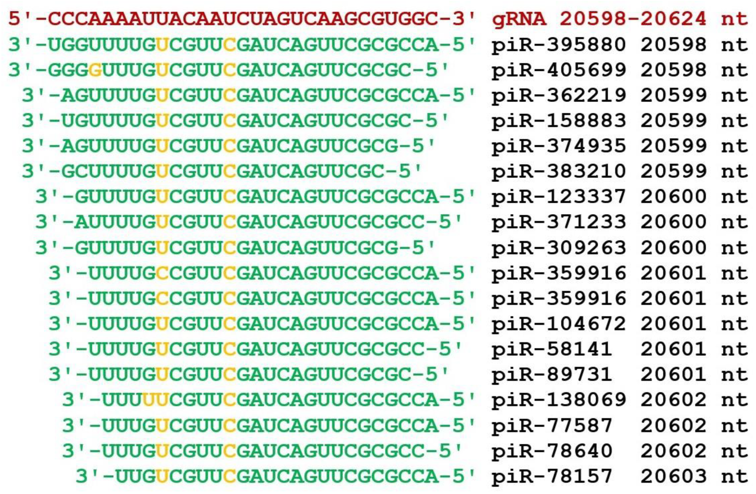 Preprints 68201 g008