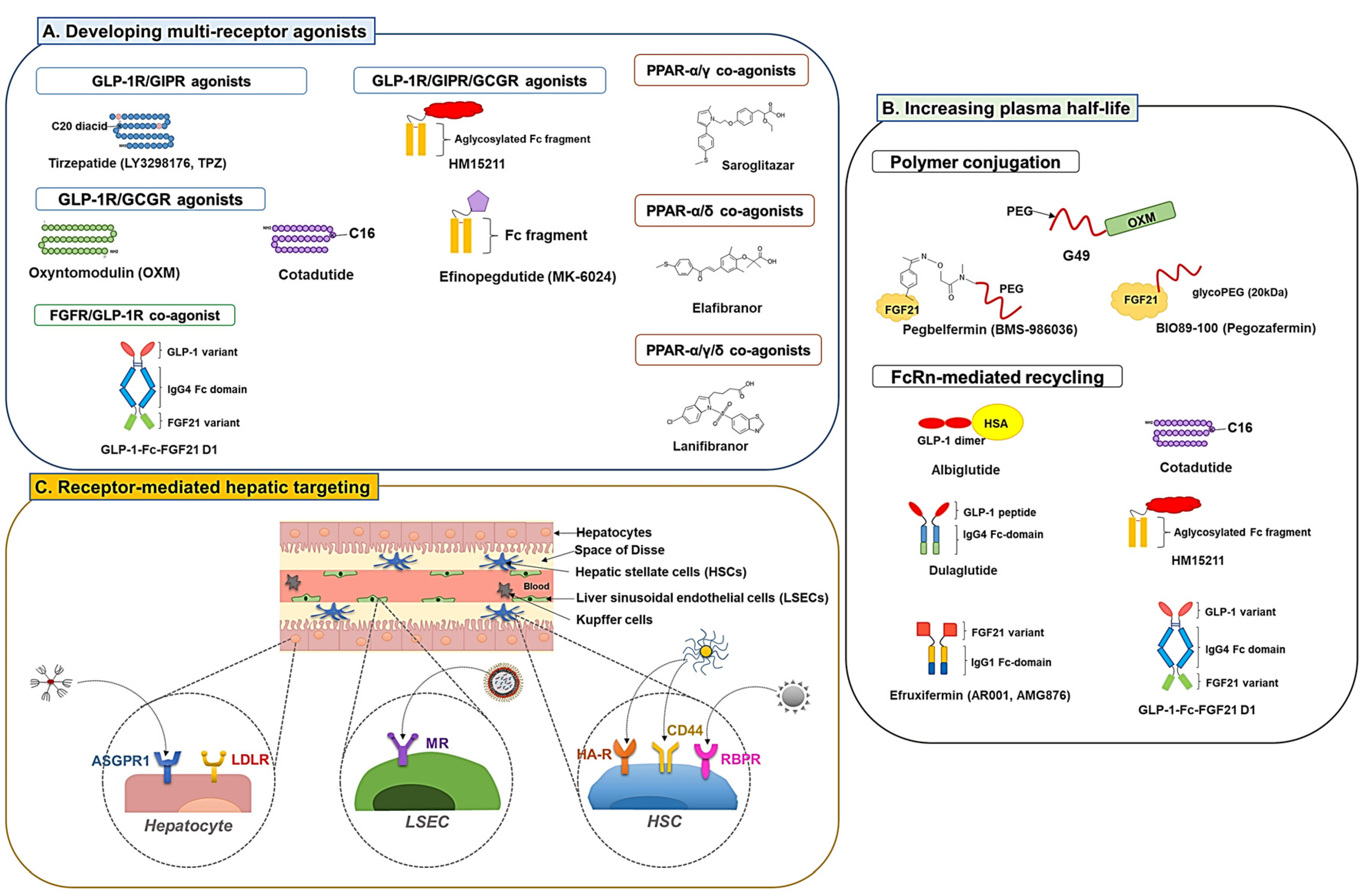 Preprints 76631 g002