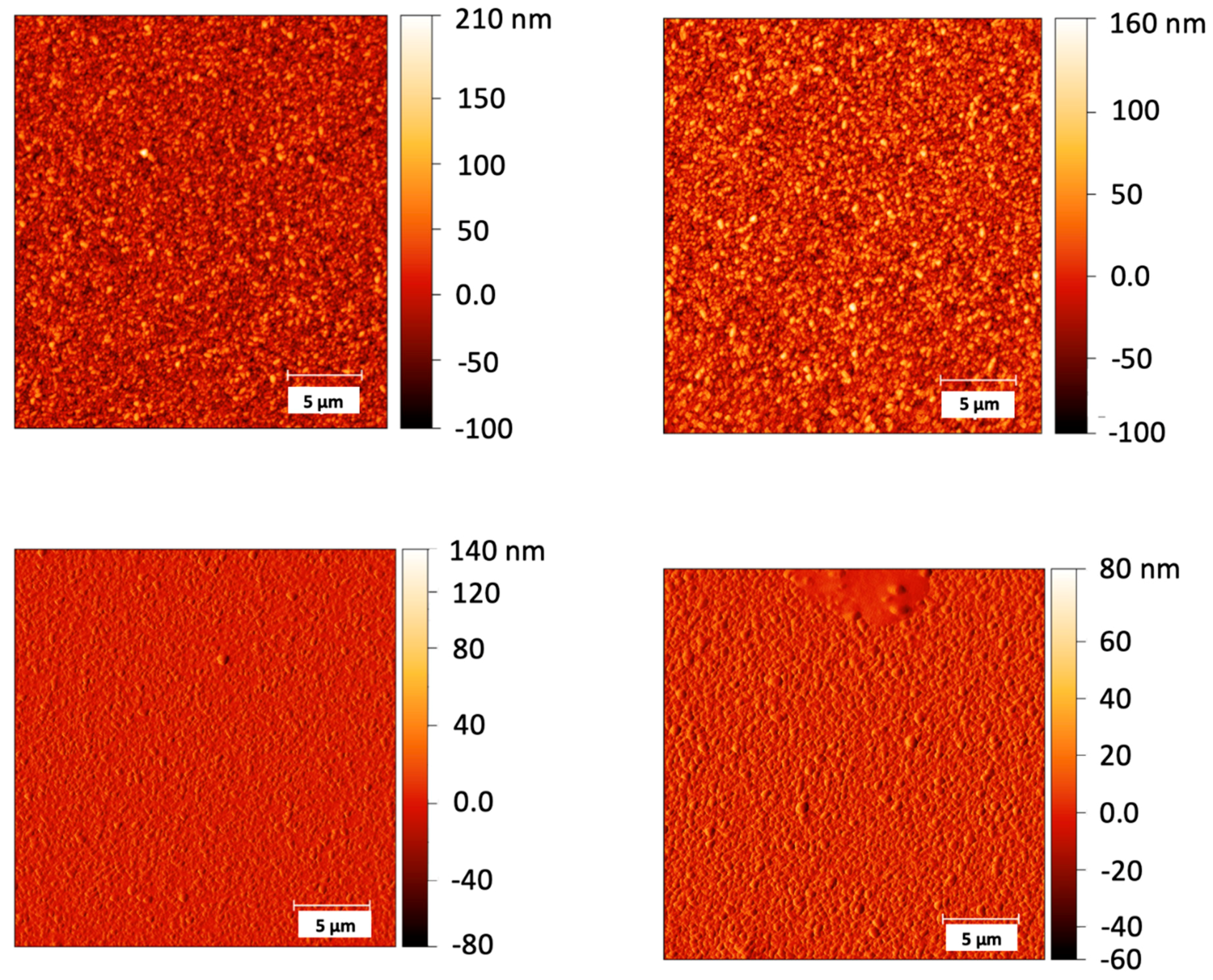 Preprints 91560 g004